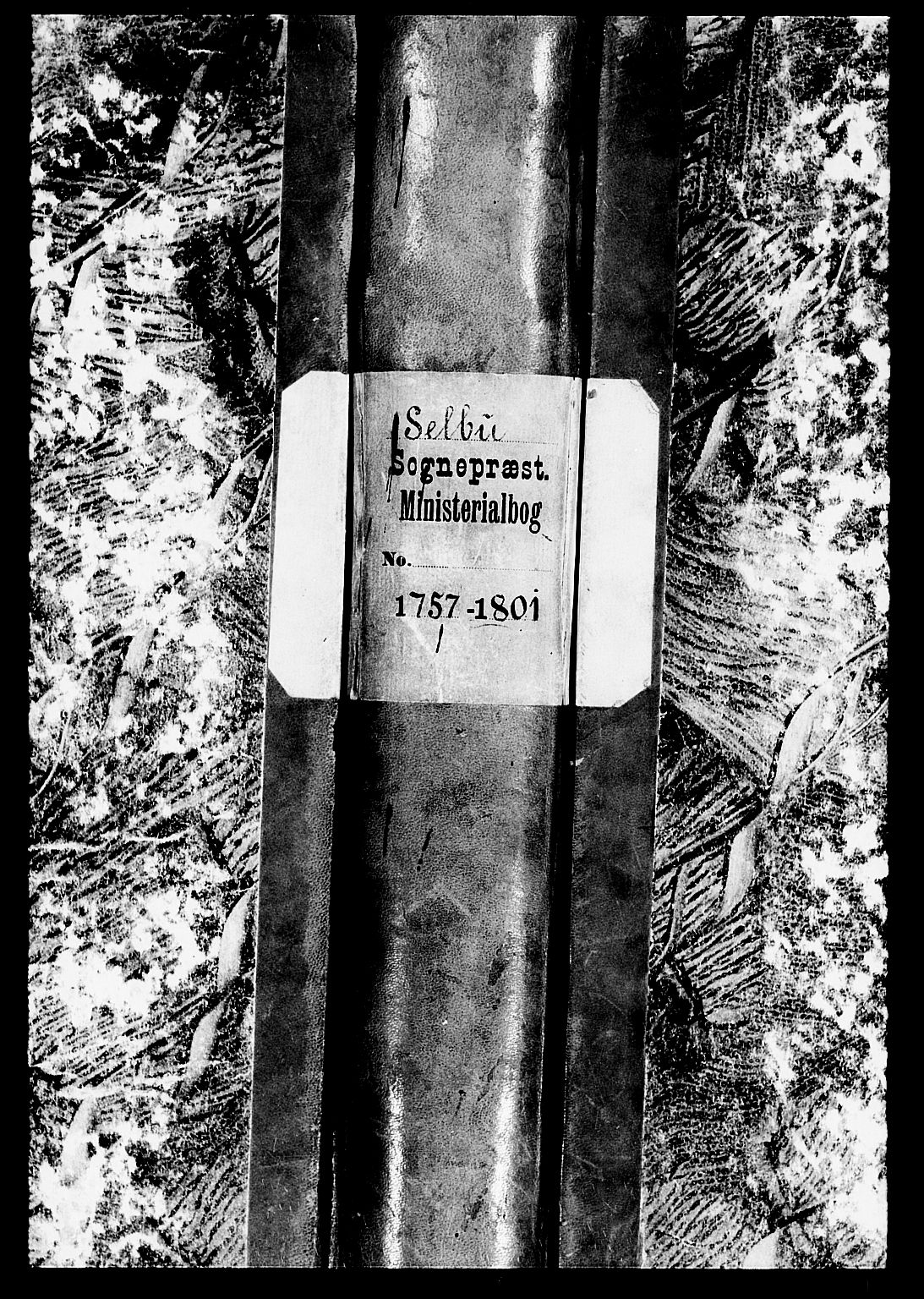 Ministerialprotokoller, klokkerbøker og fødselsregistre - Sør-Trøndelag, AV/SAT-A-1456/695/L1139: Ministerialbok nr. 695A02 /2, 1776-1790