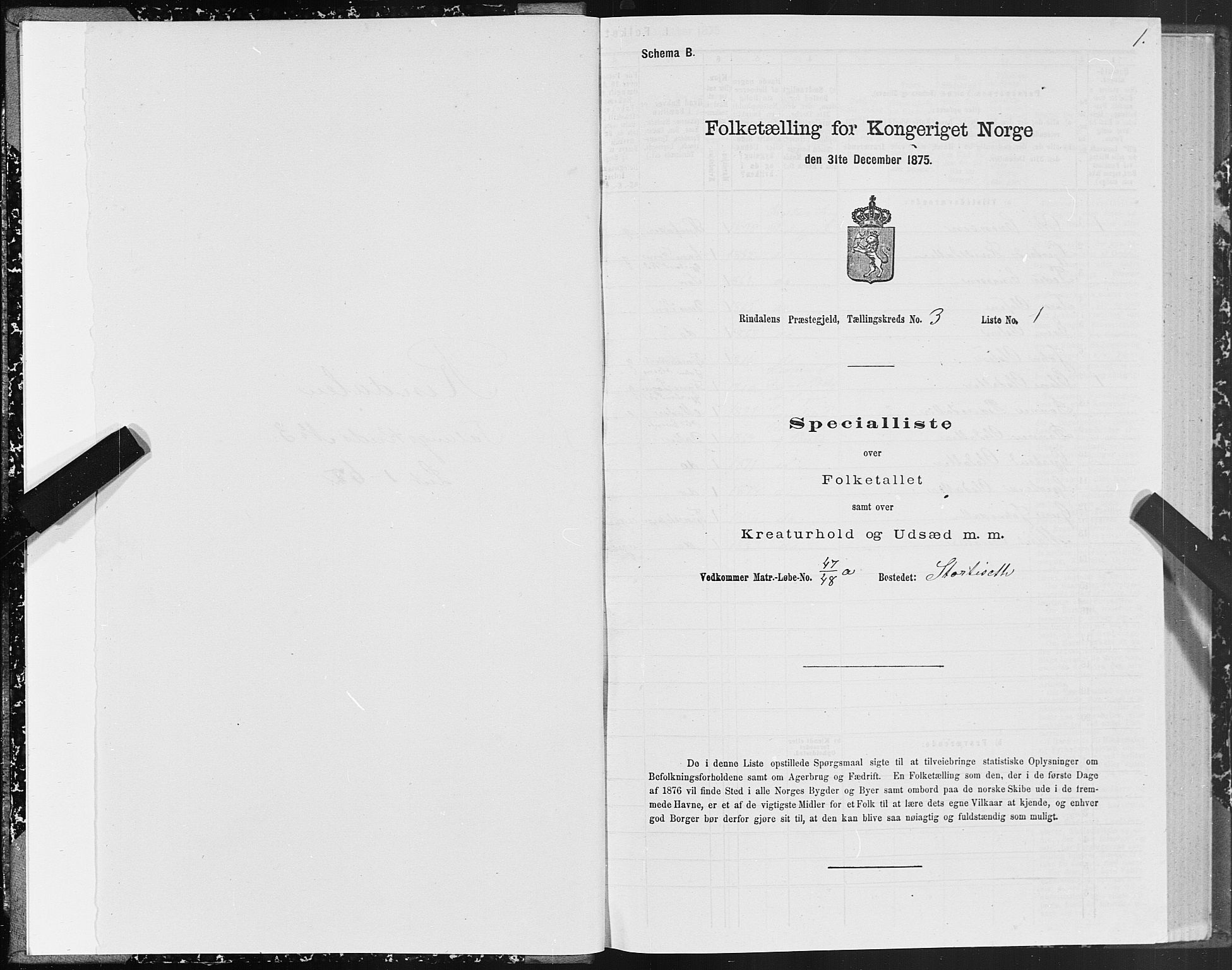 SAT, Folketelling 1875 for 1567P Rindal prestegjeld, 1875, s. 2001