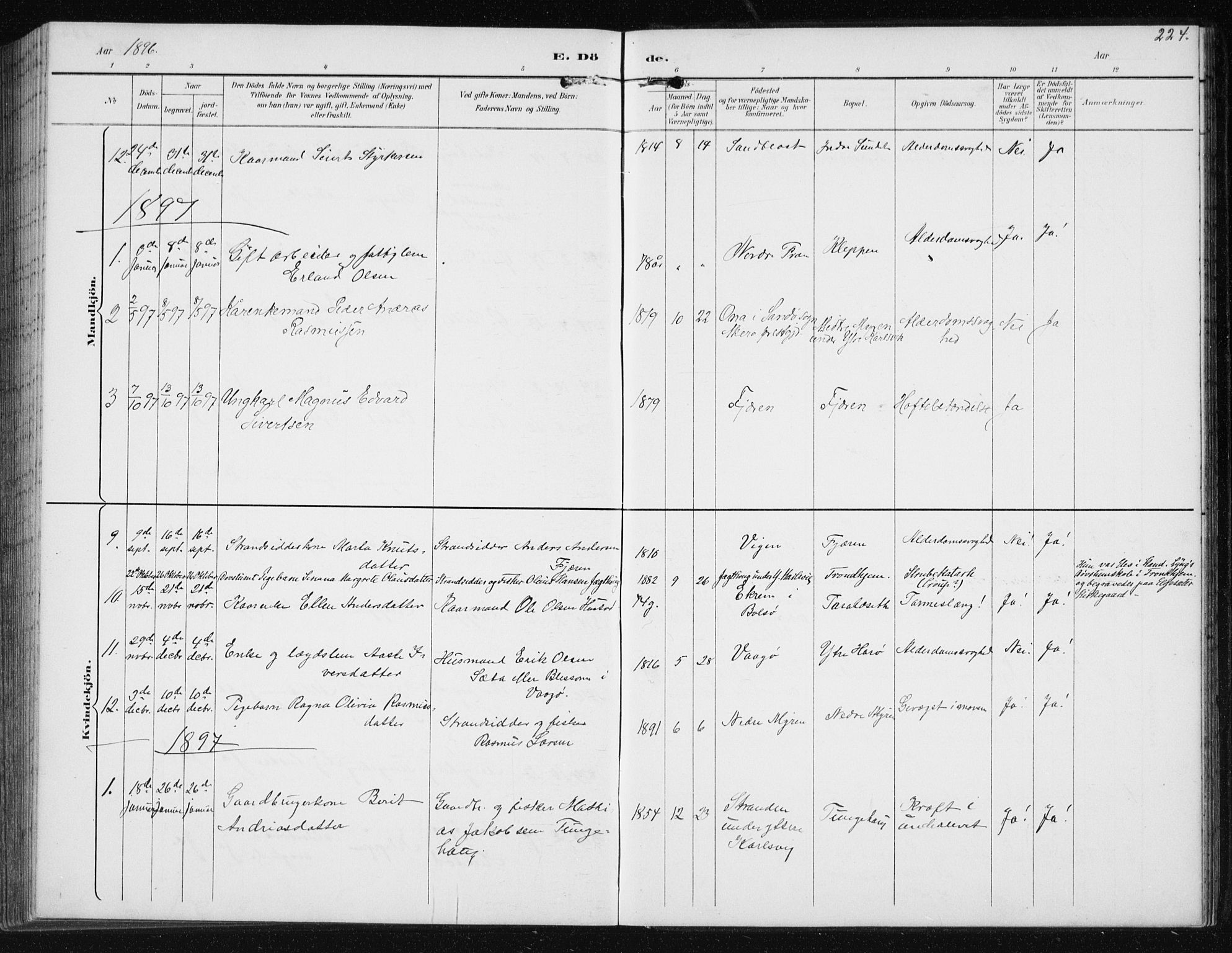 Ministerialprotokoller, klokkerbøker og fødselsregistre - Møre og Romsdal, AV/SAT-A-1454/566/L0773: Klokkerbok nr. 566C02, 1892-1909, s. 224