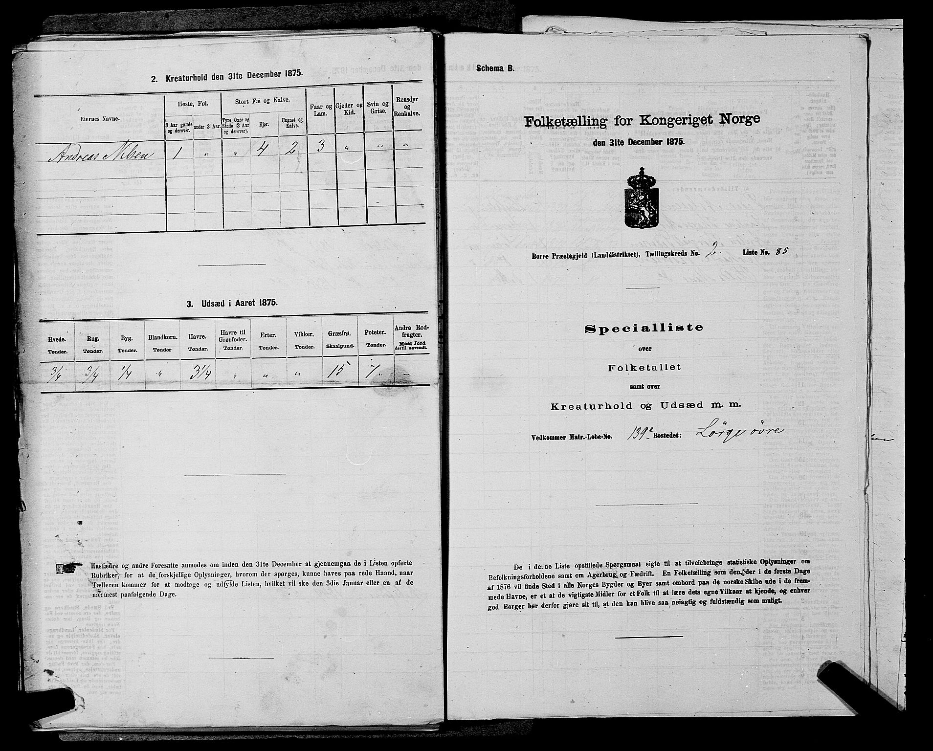 SAKO, Folketelling 1875 for 0717L Borre prestegjeld, Borre sokn og Nykirke sokn, 1875, s. 495