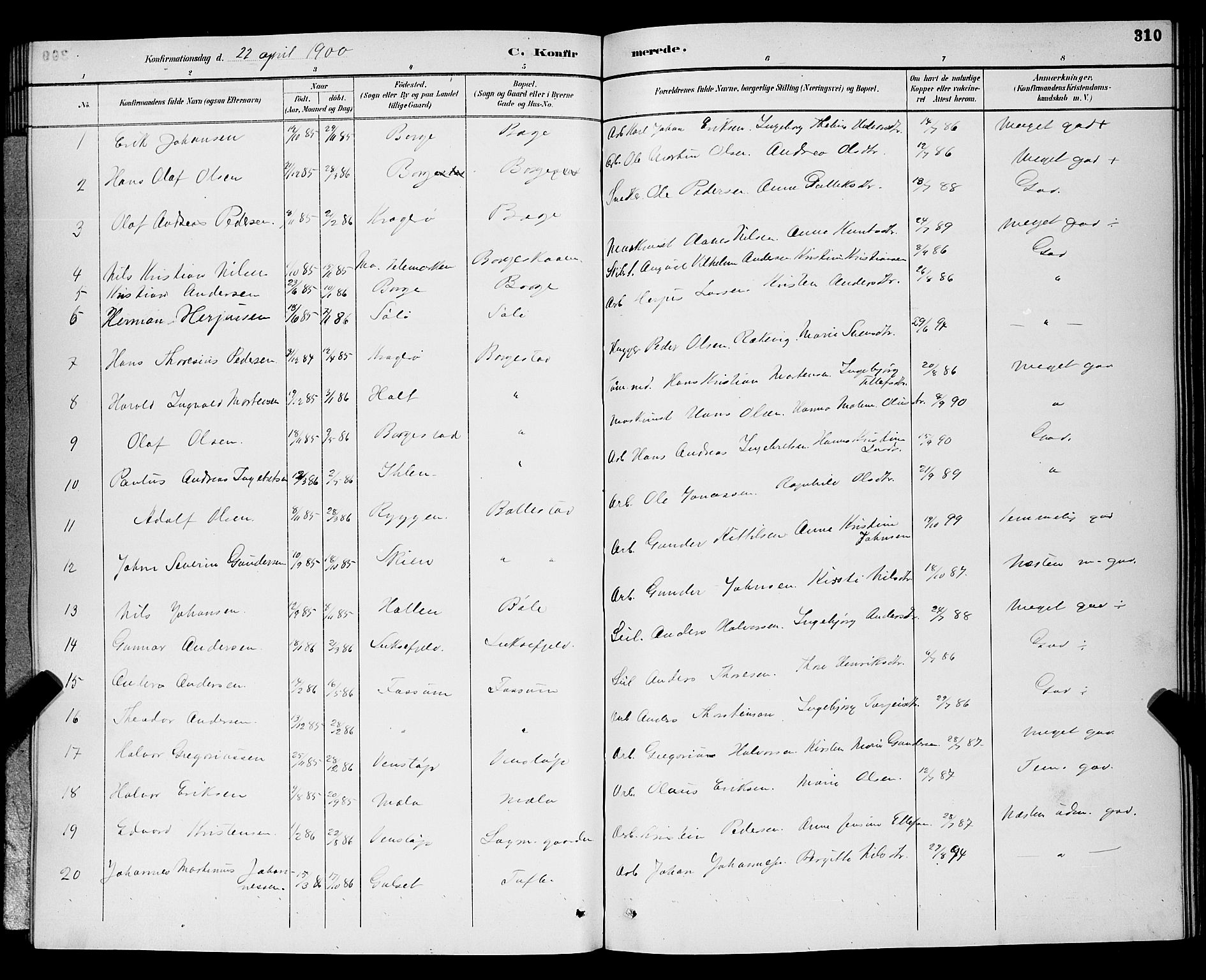 Gjerpen kirkebøker, AV/SAKO-A-265/G/Ga/L0002: Klokkerbok nr. I 2, 1883-1900, s. 310