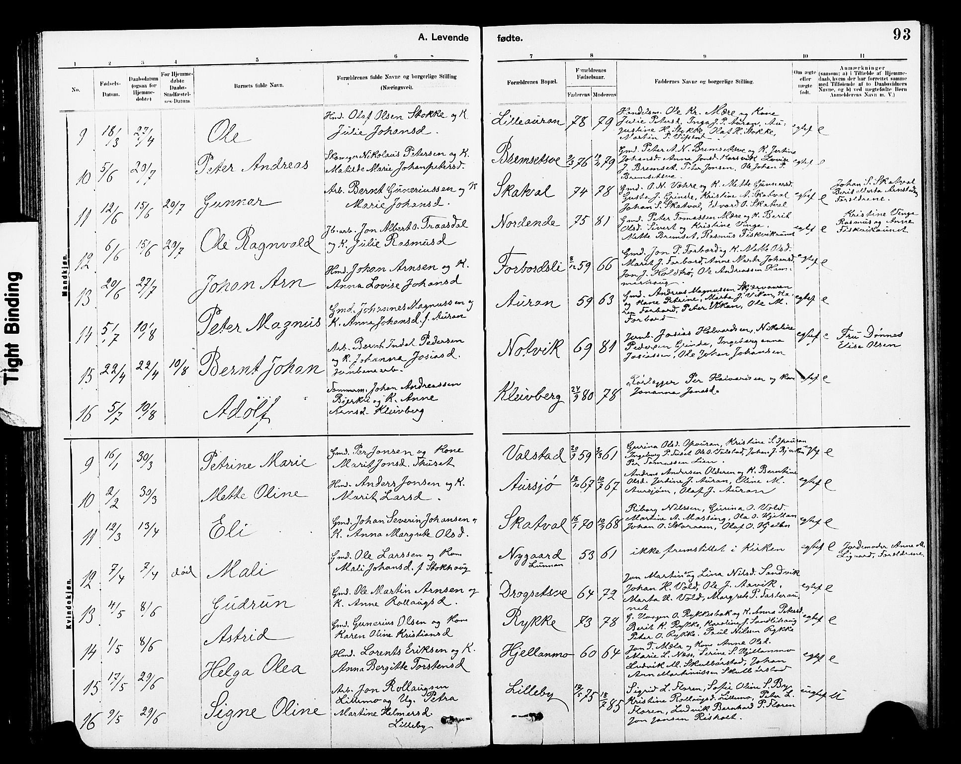 Ministerialprotokoller, klokkerbøker og fødselsregistre - Nord-Trøndelag, SAT/A-1458/712/L0103: Klokkerbok nr. 712C01, 1878-1917, s. 93