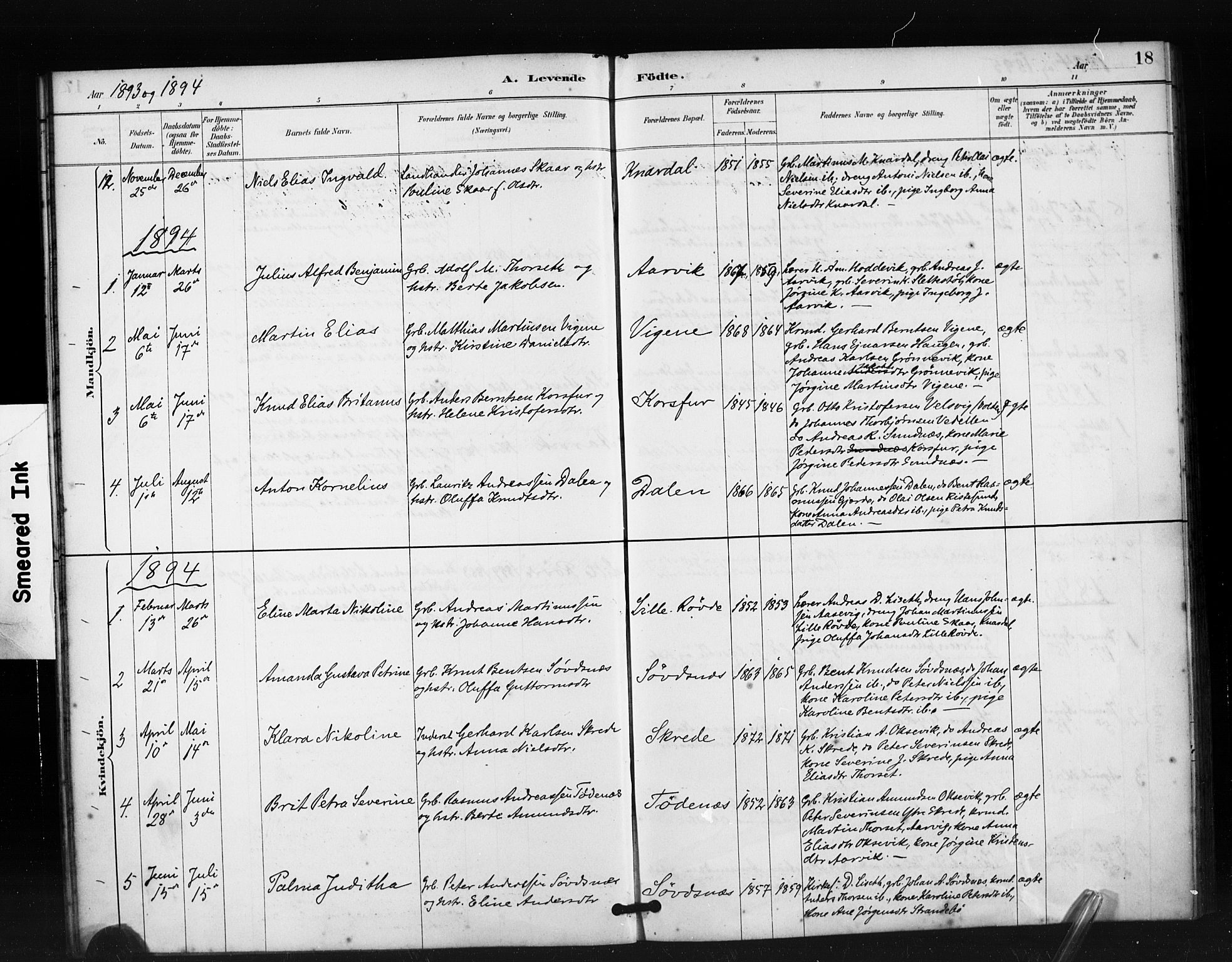Ministerialprotokoller, klokkerbøker og fødselsregistre - Møre og Romsdal, SAT/A-1454/504/L0056: Ministerialbok nr. 504A03, 1884-1904, s. 18