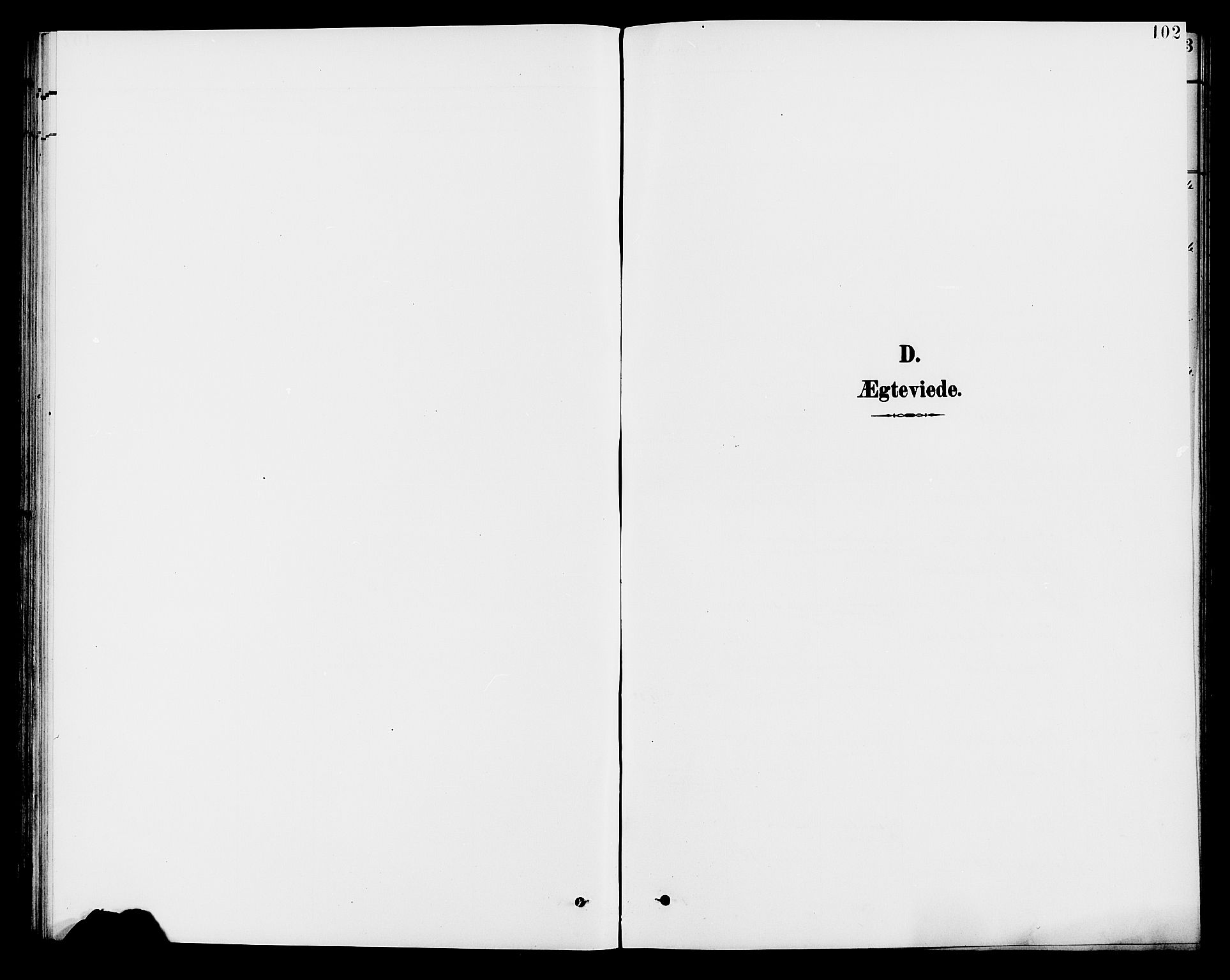 Brandval prestekontor, SAH/PREST-034/H/Ha/Hab/L0001: Klokkerbok nr. 1, 1895-1910, s. 102