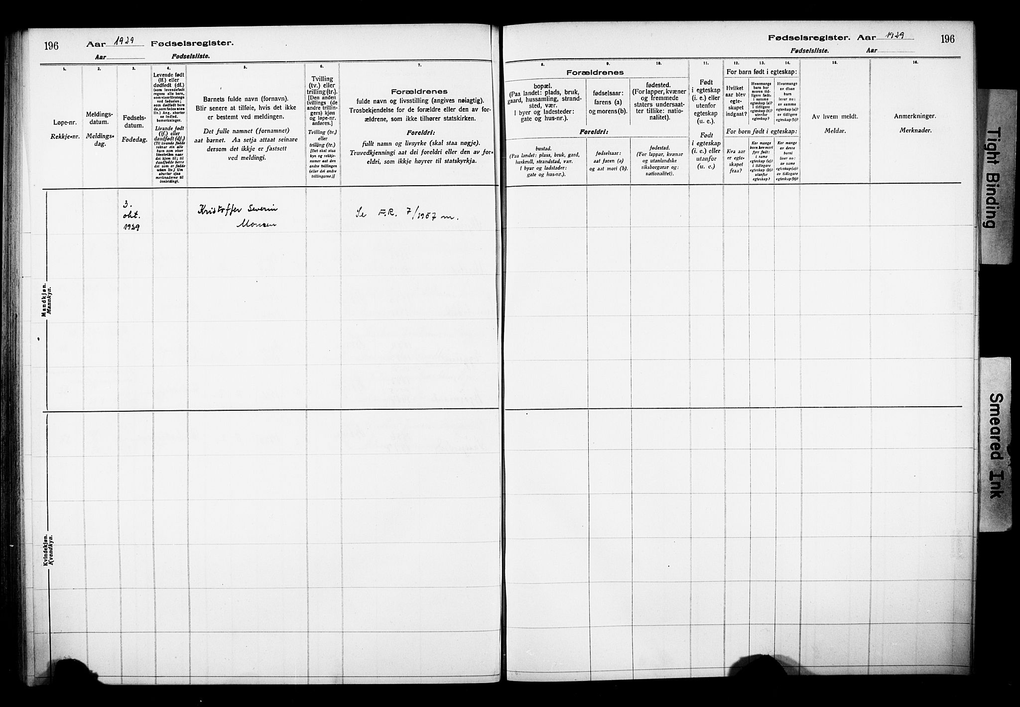 Ministerialprotokoller, klokkerbøker og fødselsregistre - Nordland, AV/SAT-A-1459/880/L1145: Fødselsregister nr. 880.II.4.1, 1916-1929, s. 196