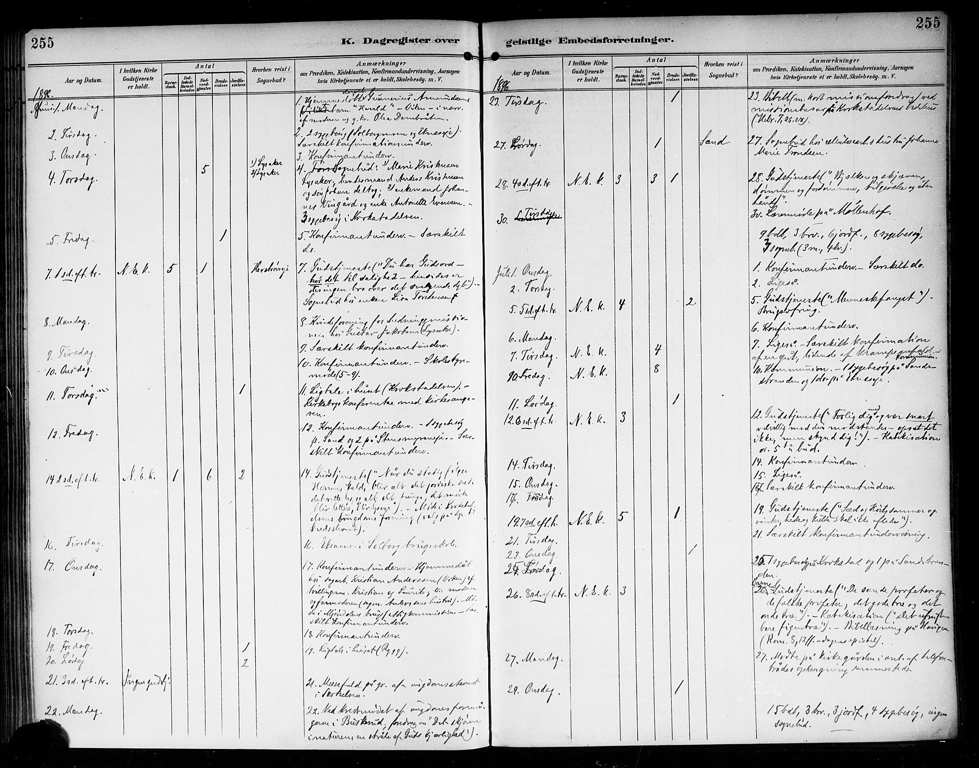 Nedre Eiker kirkebøker, AV/SAKO-A-612/F/Fa/L0004: Ministerialbok nr. 4, 1893-1898, s. 255