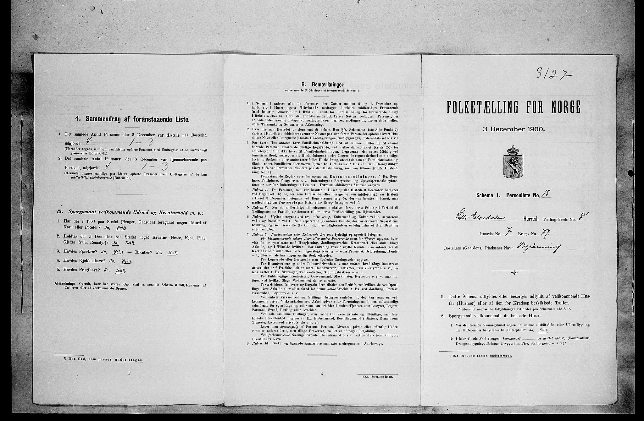 SAH, Folketelling 1900 for 0438 Lille Elvedalen herred, 1900, s. 596