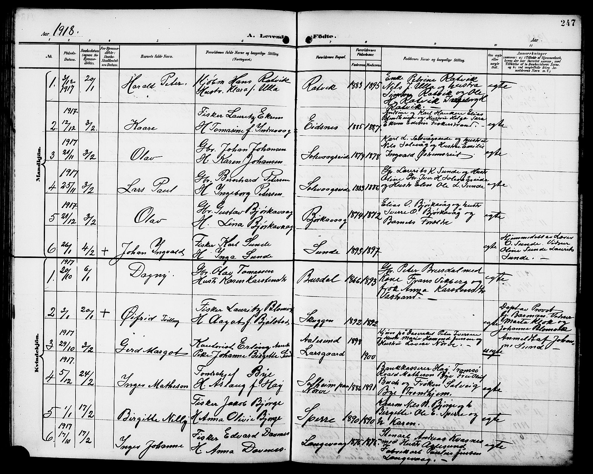 Ministerialprotokoller, klokkerbøker og fødselsregistre - Møre og Romsdal, AV/SAT-A-1454/528/L0432: Klokkerbok nr. 528C13, 1898-1918, s. 247