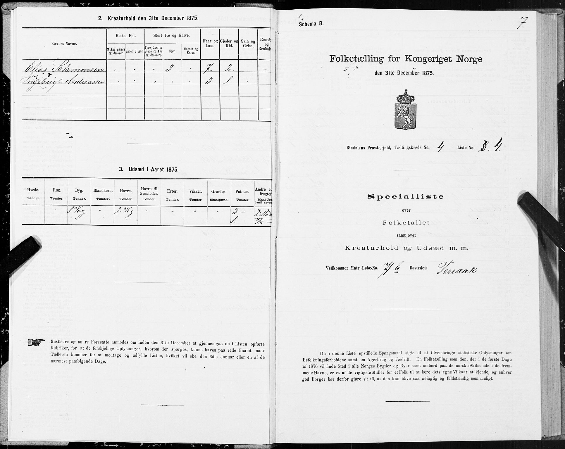 SAT, Folketelling 1875 for 1811P Bindal prestegjeld, 1875, s. 2007