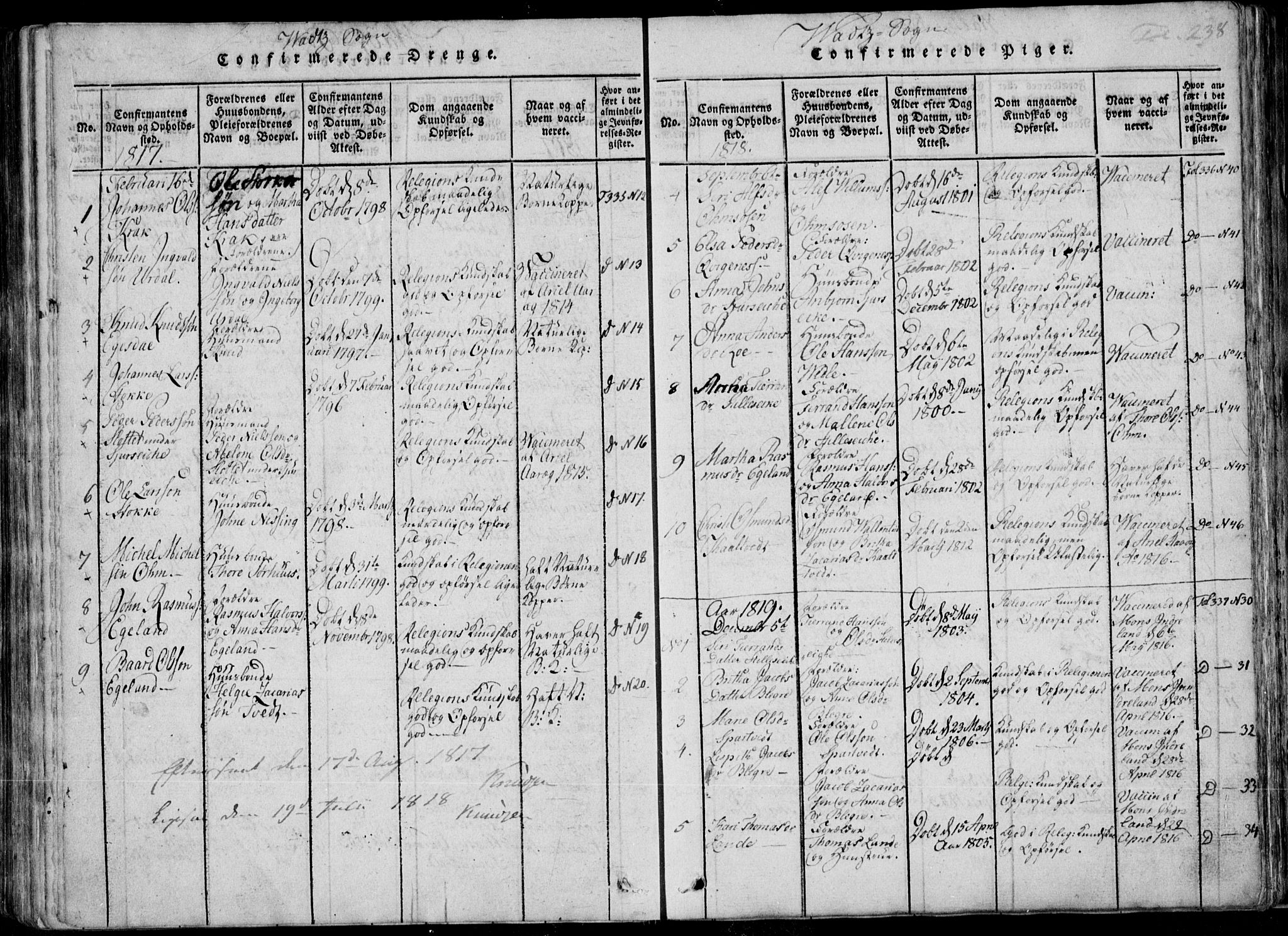 Skjold sokneprestkontor, SAST/A-101847/H/Ha/Haa/L0004: Ministerialbok nr. A 4 /2, 1815-1830, s. 238