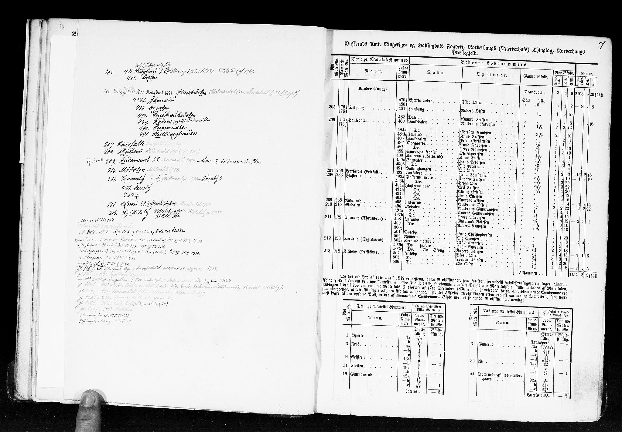 Rygh, AV/RA-PA-0034/F/Fb/L0005: Matrikkelen for 1838 - Buskerud amt (Buskerud fylke), 1838, s. 7