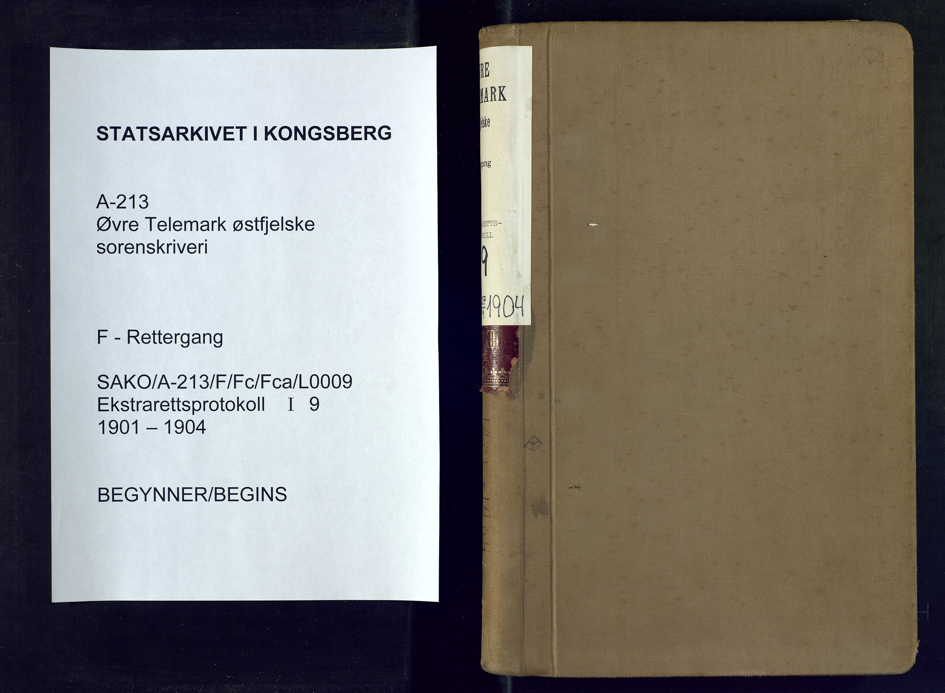 Øvre Telemark østfjelske sorenskriveri, SAKO/A-213/F/Fc/Fca/L0009: Ekstrarettsprotokoll, sivile saker, 1901-1904