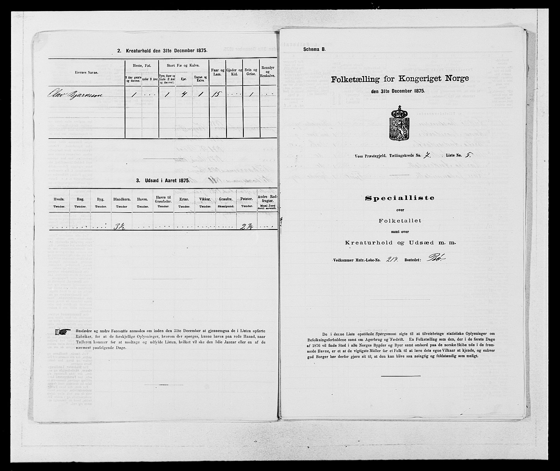 SAB, Folketelling 1875 for 1235P Voss prestegjeld, 1875, s. 809