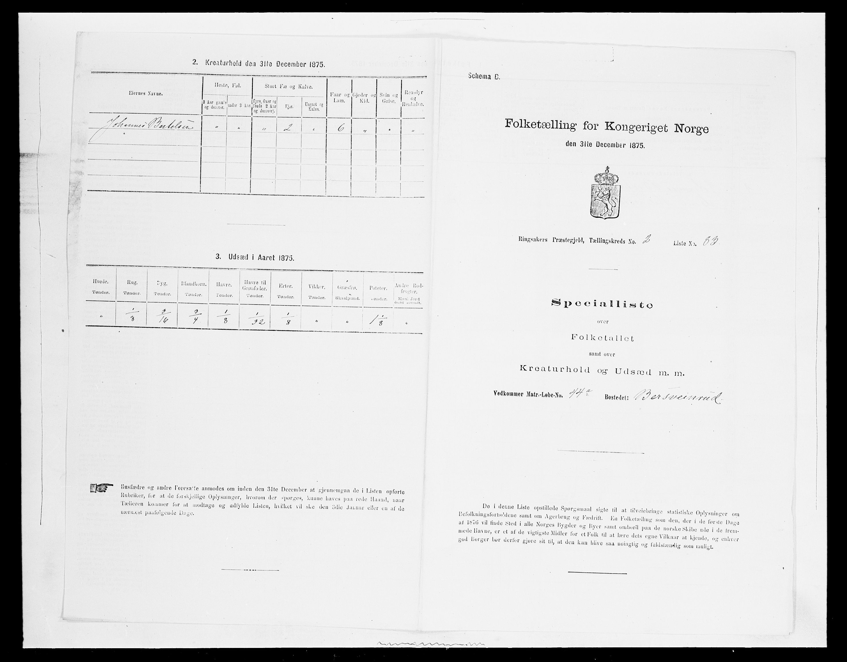 SAH, Folketelling 1875 for 0412P Ringsaker prestegjeld, 1875, s. 602