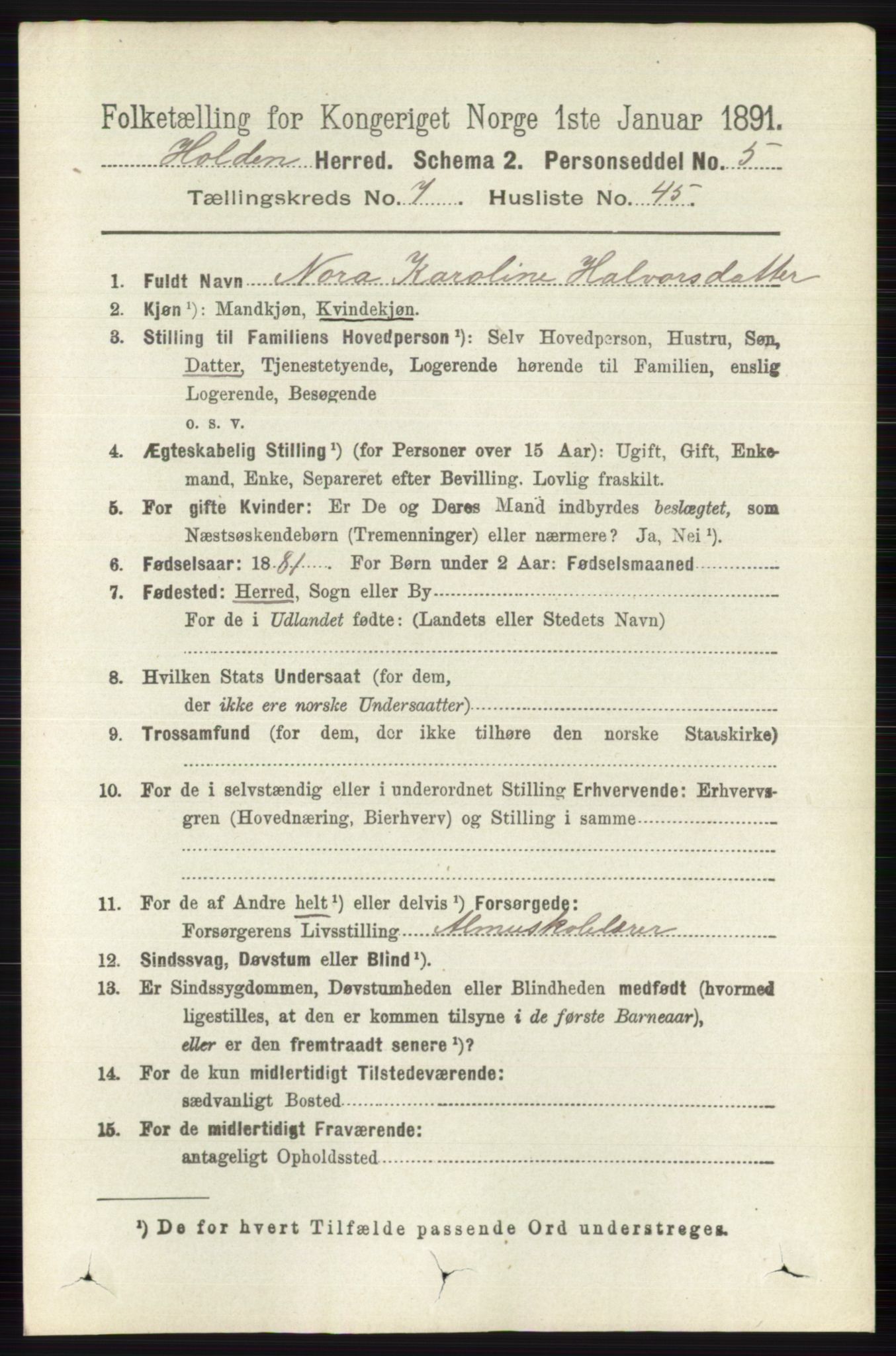 RA, Folketelling 1891 for 0819 Holla herred, 1891, s. 3549