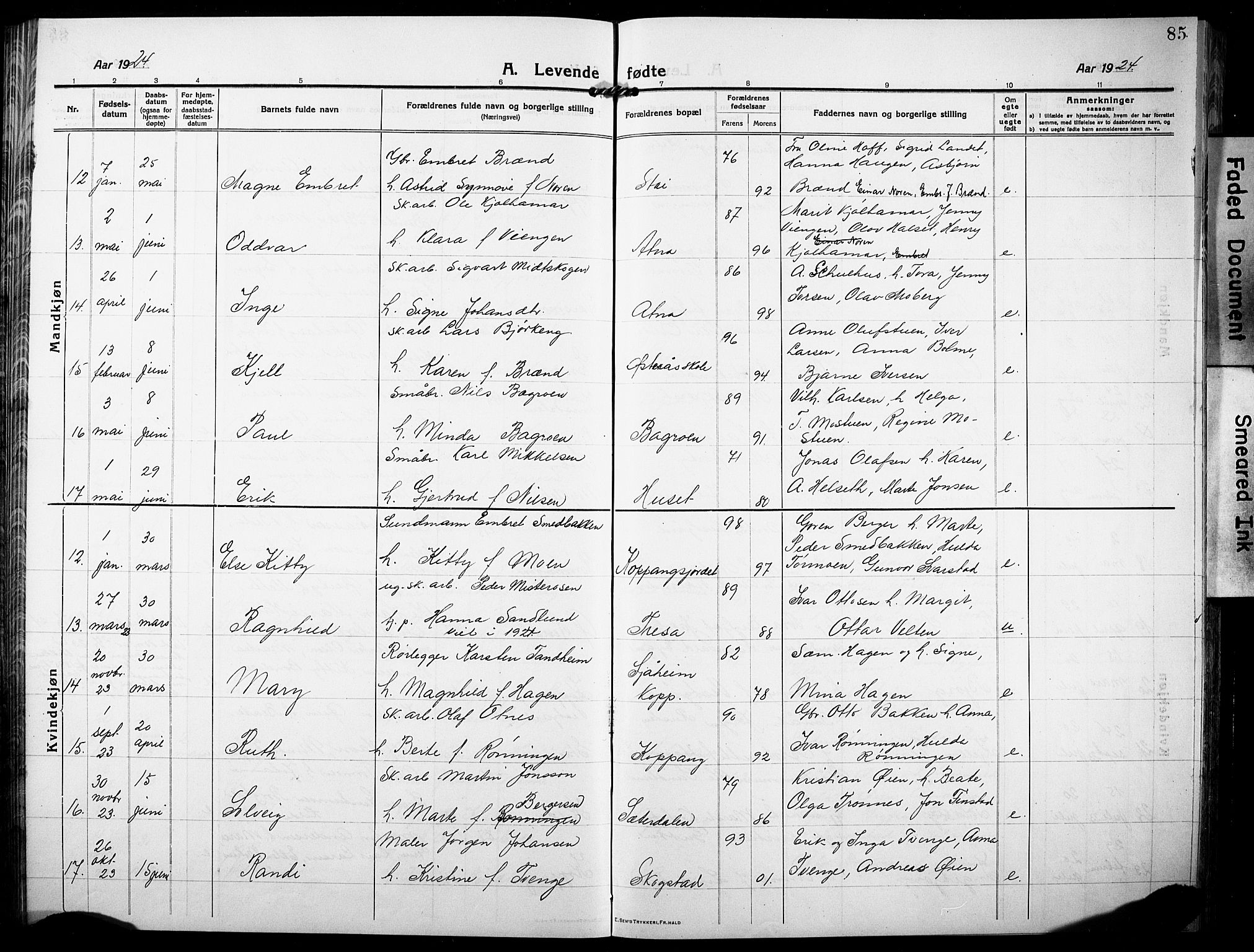 Stor-Elvdal prestekontor, AV/SAH-PREST-052/H/Ha/Hab/L0005: Klokkerbok nr. 5, 1913-1932, s. 85