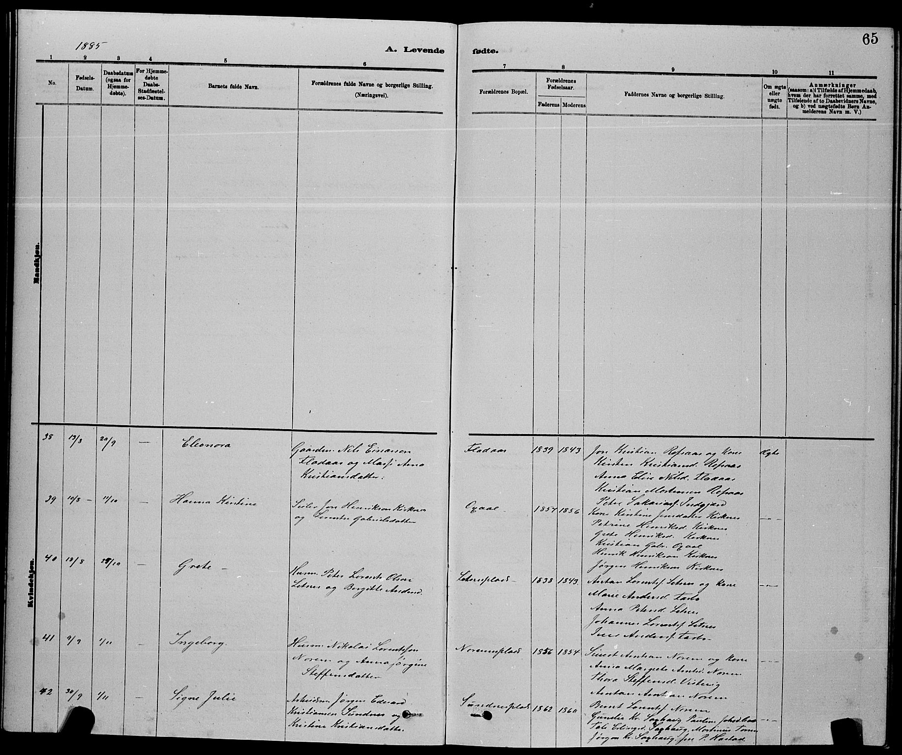 Ministerialprotokoller, klokkerbøker og fødselsregistre - Nord-Trøndelag, AV/SAT-A-1458/730/L0301: Klokkerbok nr. 730C04, 1880-1897, s. 65