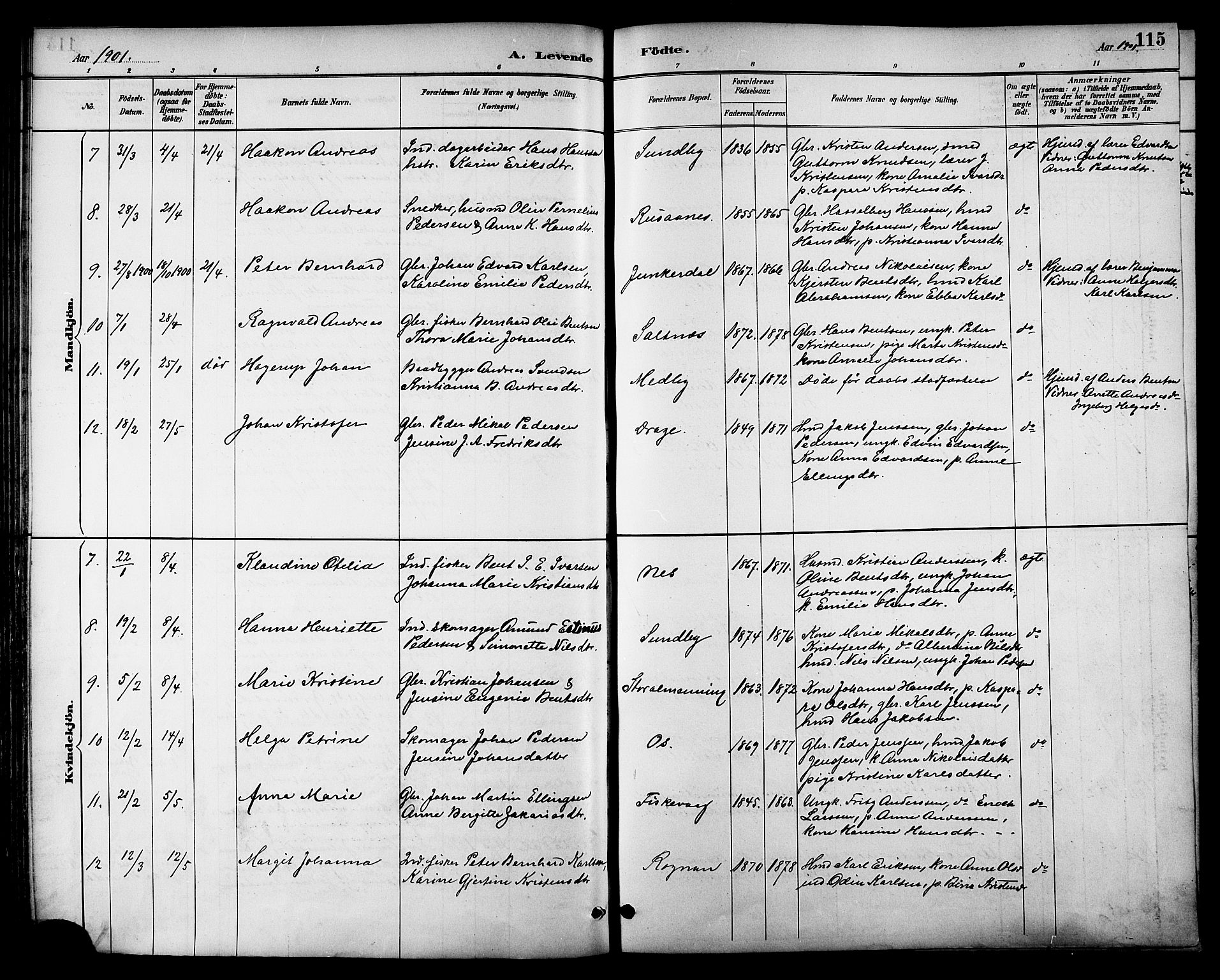 Ministerialprotokoller, klokkerbøker og fødselsregistre - Nordland, AV/SAT-A-1459/847/L0669: Ministerialbok nr. 847A09, 1887-1901, s. 115