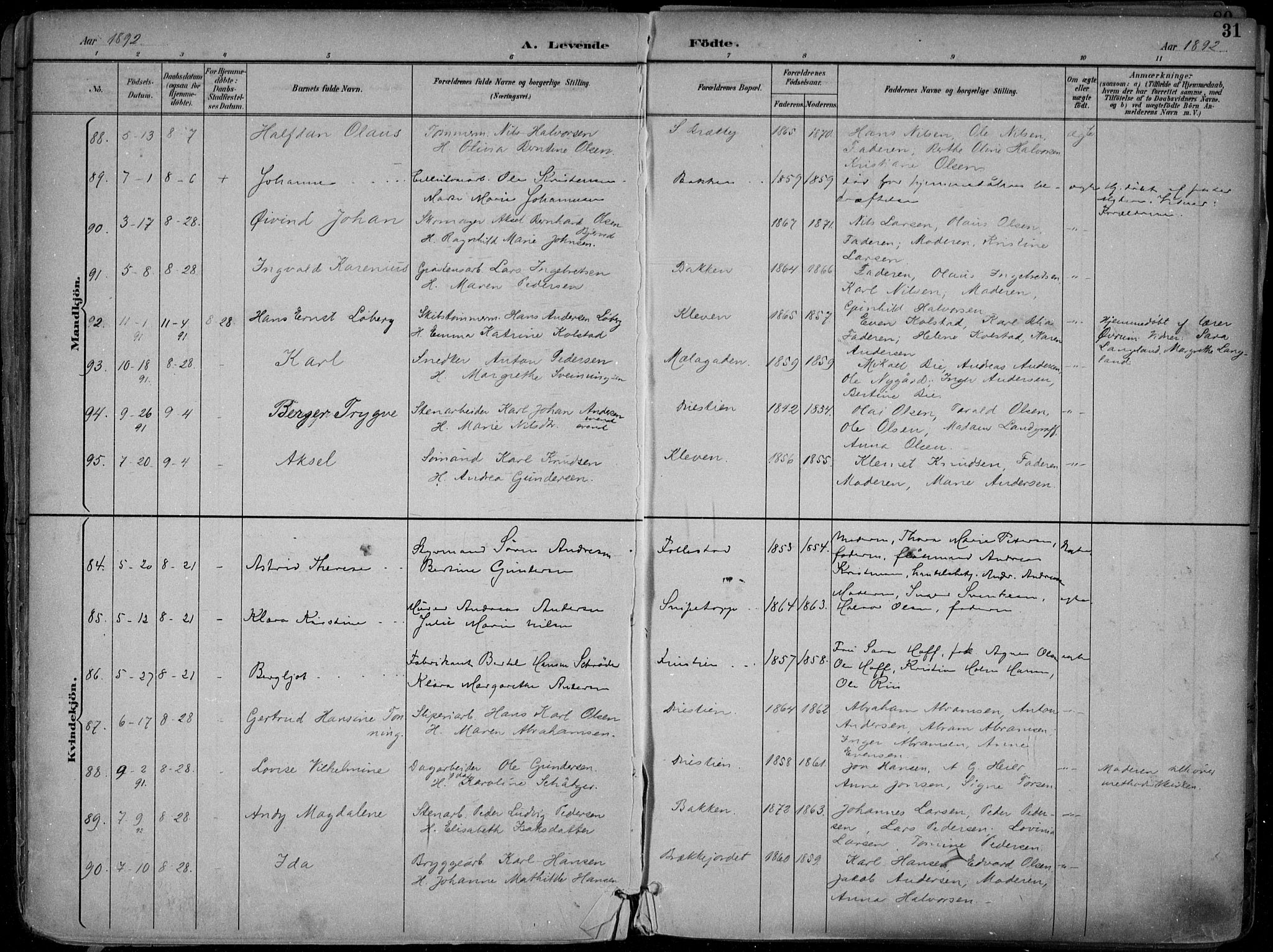 Skien kirkebøker, AV/SAKO-A-302/F/Fa/L0010: Ministerialbok nr. 10, 1891-1899, s. 31
