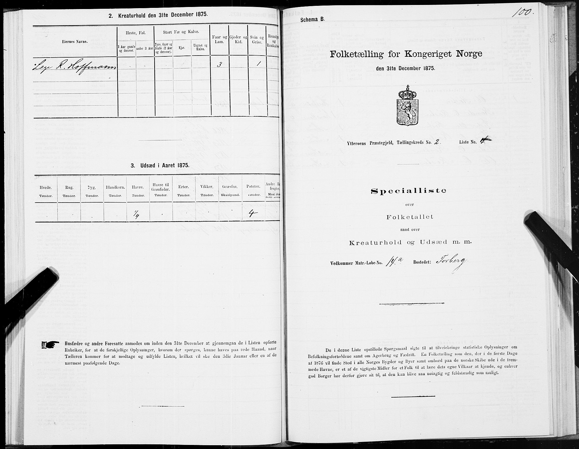 SAT, Folketelling 1875 for 1722P Ytterøy prestegjeld, 1875, s. 1100