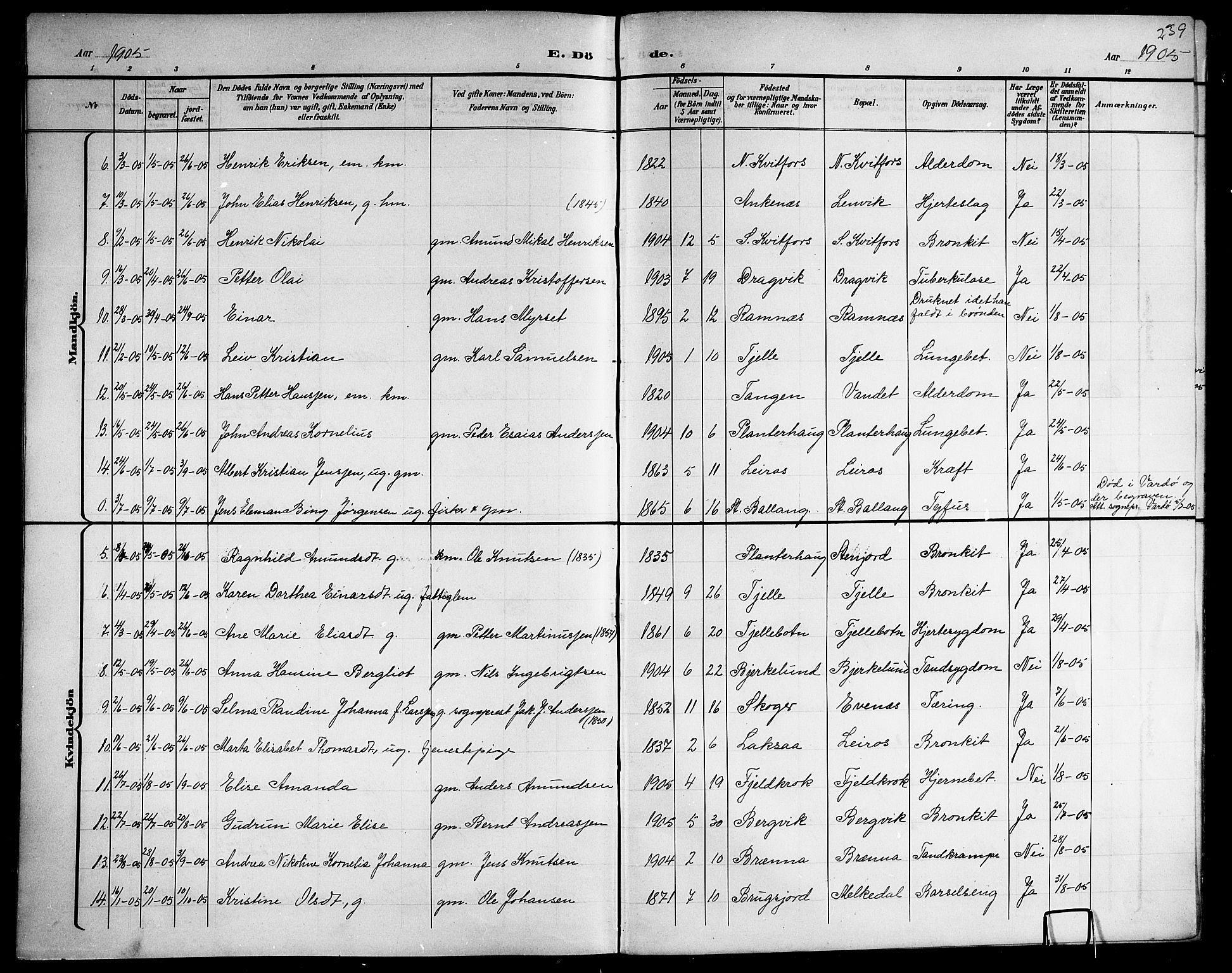 Ministerialprotokoller, klokkerbøker og fødselsregistre - Nordland, AV/SAT-A-1459/863/L0915: Klokkerbok nr. 863C05, 1898-1907, s. 239