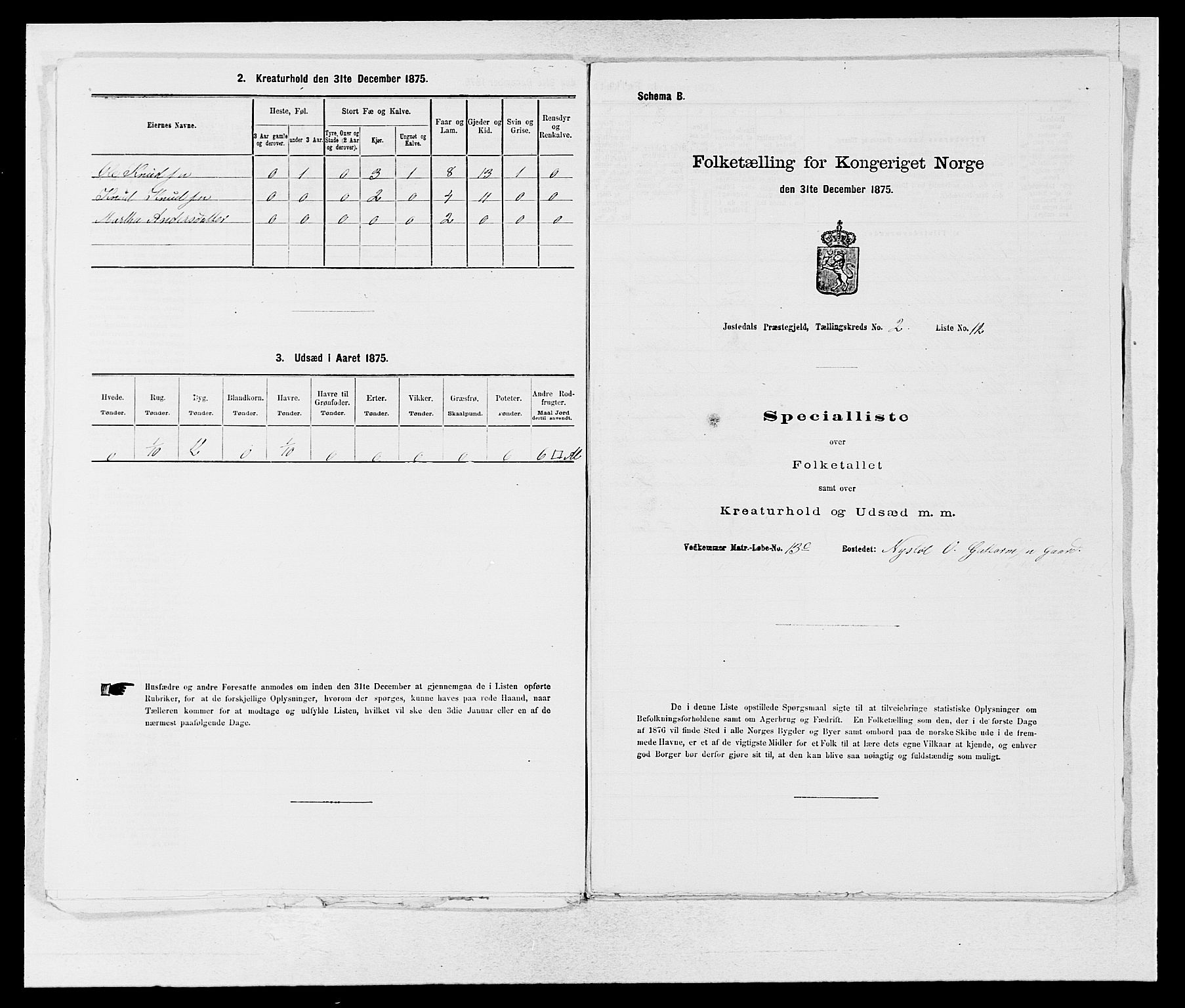 SAB, Folketelling 1875 for 1427P Jostedal prestegjeld, 1875, s. 117