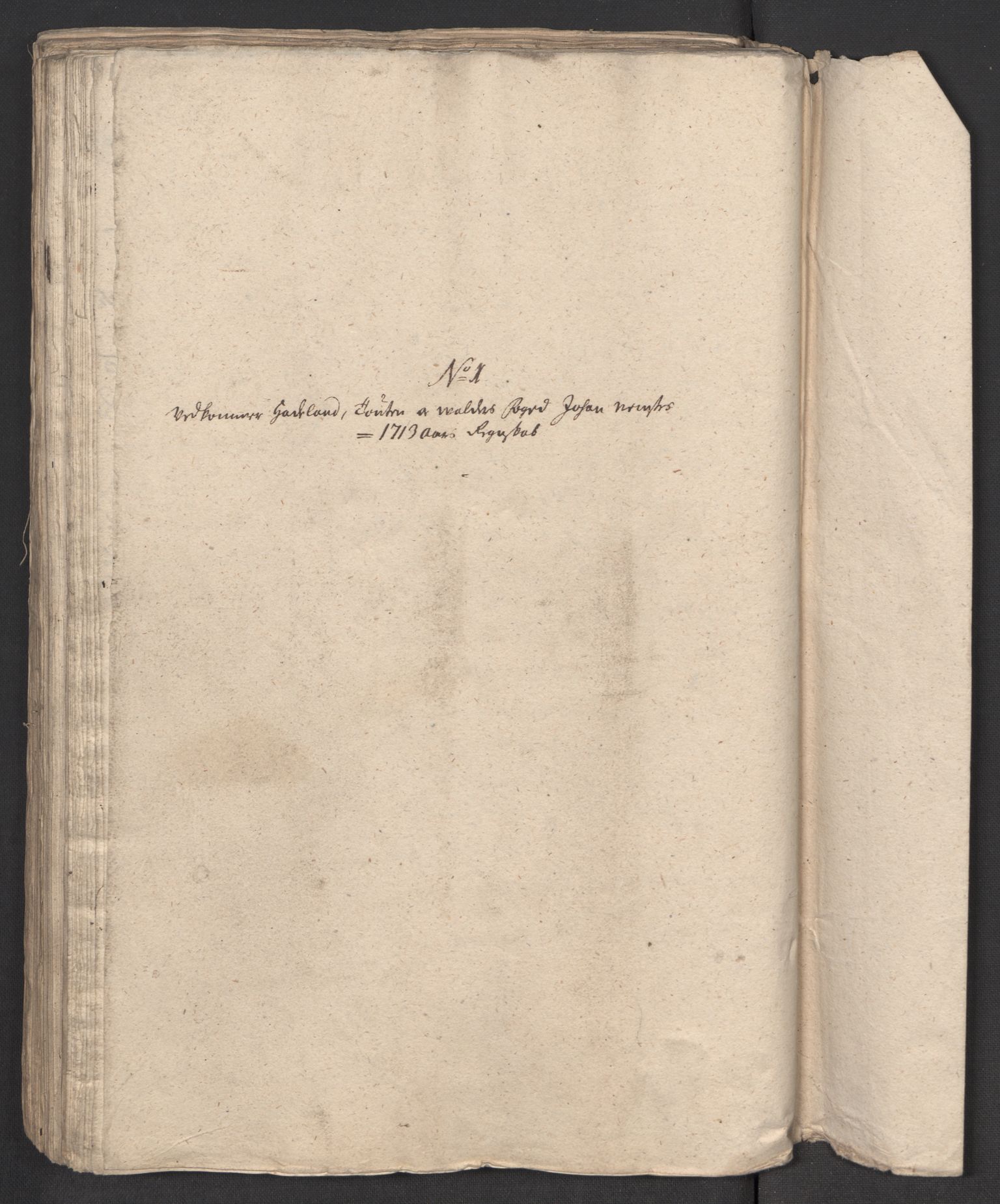 Rentekammeret inntil 1814, Reviderte regnskaper, Fogderegnskap, AV/RA-EA-4092/R18/L1310: Fogderegnskap Hadeland, Toten og Valdres, 1713, s. 218