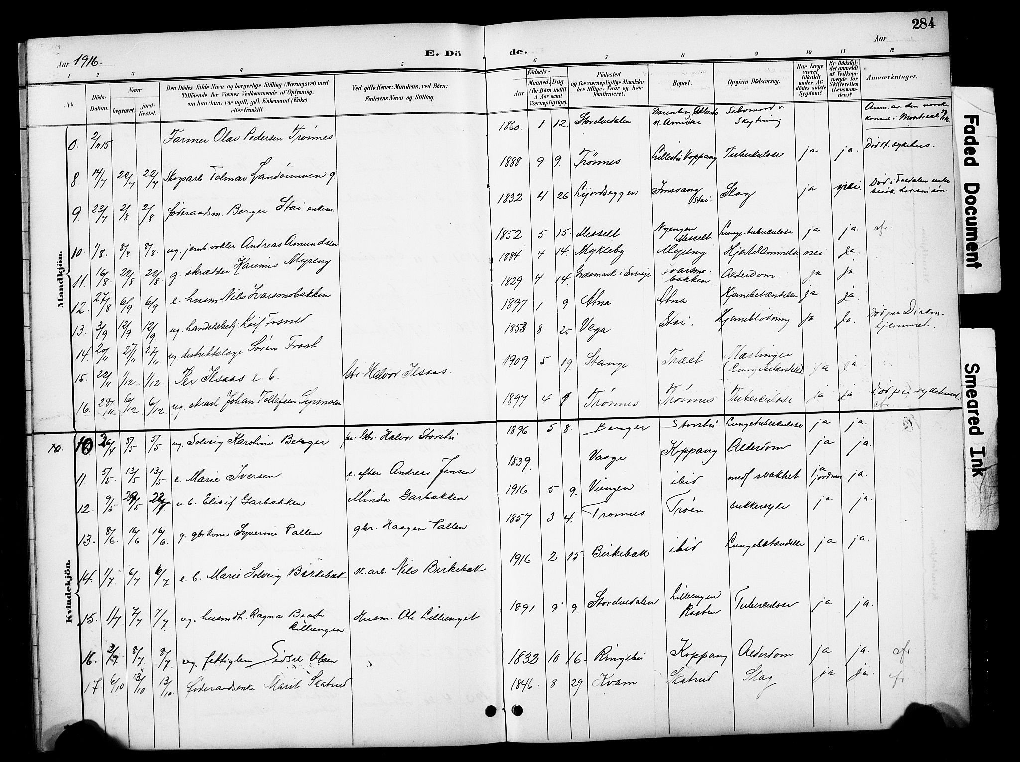Stor-Elvdal prestekontor, AV/SAH-PREST-052/H/Ha/Hab/L0003: Klokkerbok nr. 3, 1895-1917, s. 284