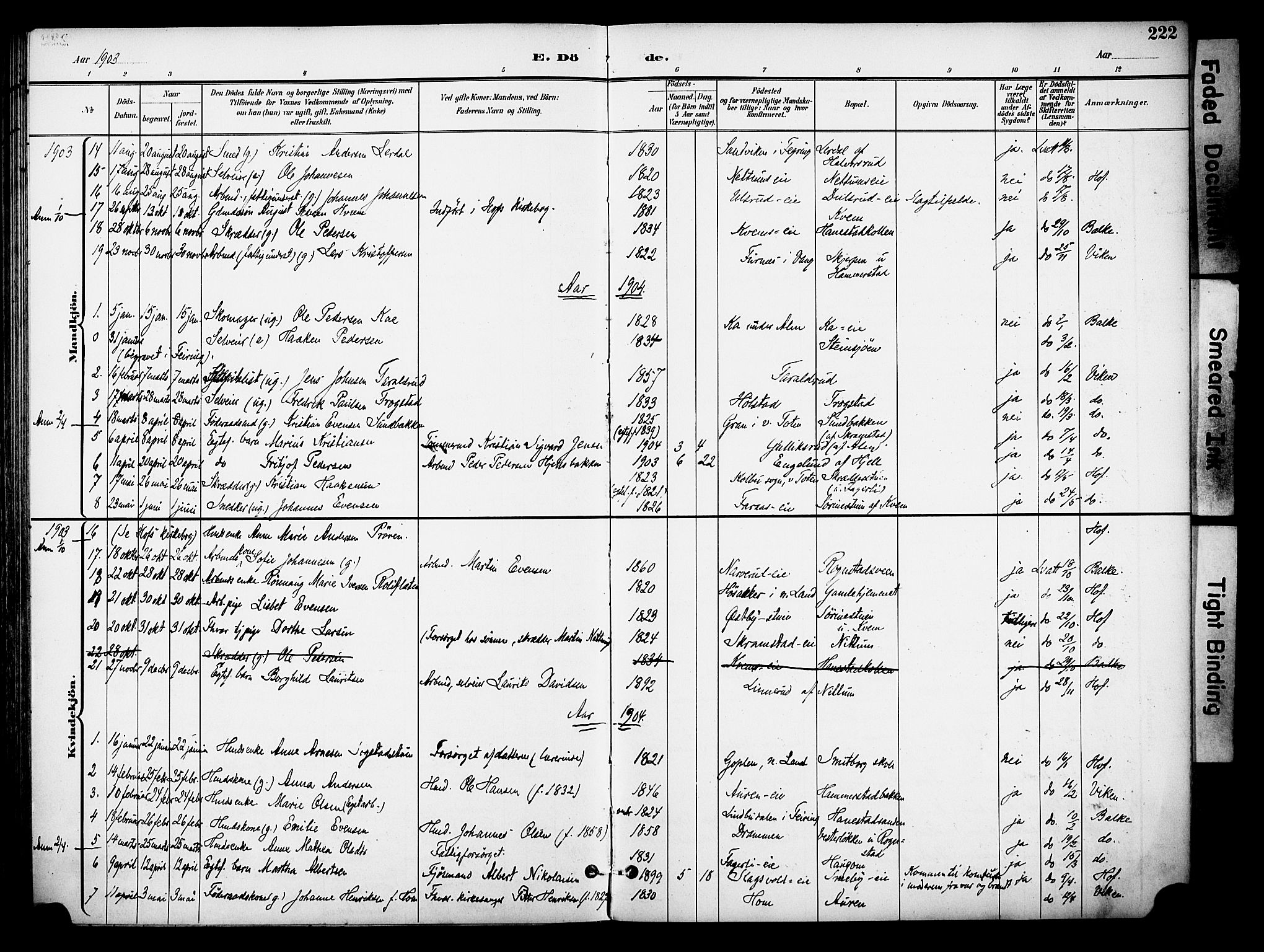 Østre Toten prestekontor, AV/SAH-PREST-104/H/Ha/Haa/L0009: Ministerialbok nr. 9, 1897-1913, s. 222