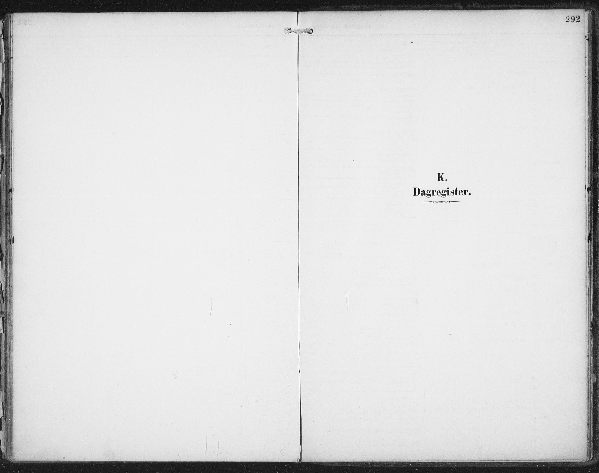 Ministerialprotokoller, klokkerbøker og fødselsregistre - Nordland, AV/SAT-A-1459/854/L0779: Ministerialbok nr. 854A02, 1892-1909, s. 292