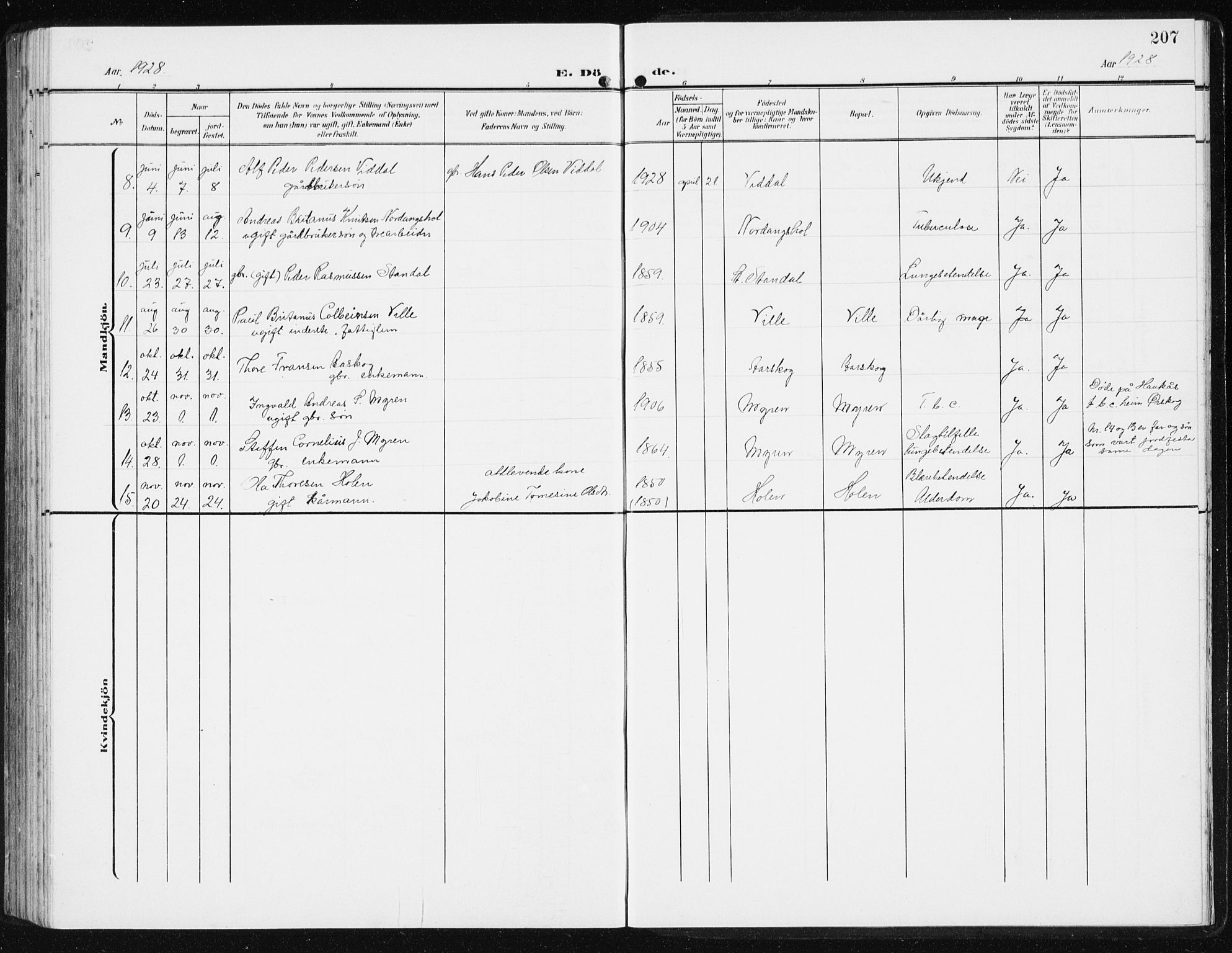 Ministerialprotokoller, klokkerbøker og fødselsregistre - Møre og Romsdal, AV/SAT-A-1454/515/L0216: Klokkerbok nr. 515C03, 1906-1941, s. 207