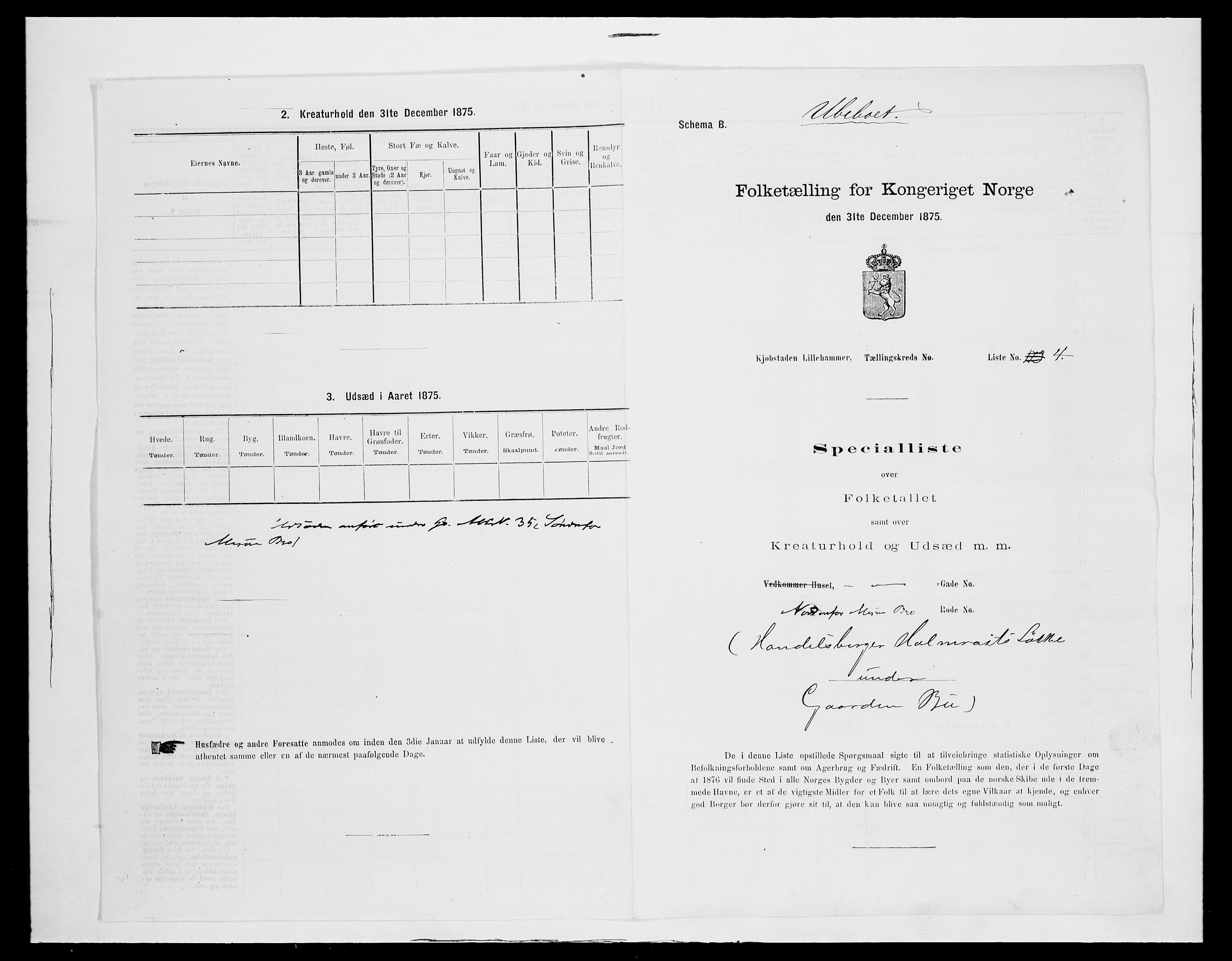 SAH, Folketelling 1875 for 0501B Fåberg prestegjeld, Lillehammer kjøpstad, 1875, s. 10