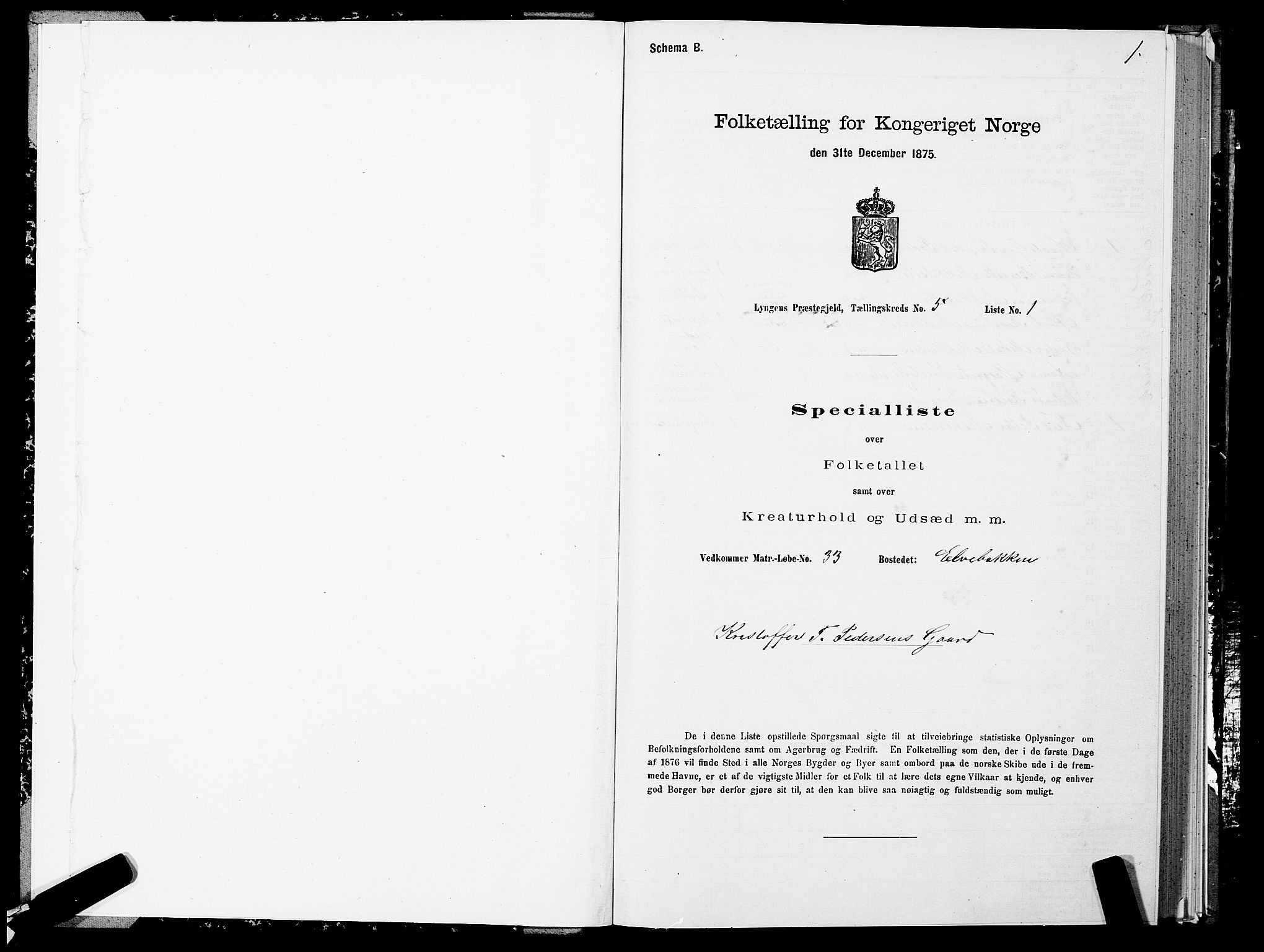 SATØ, Folketelling 1875 for 1938P Lyngen prestegjeld, 1875, s. 5001