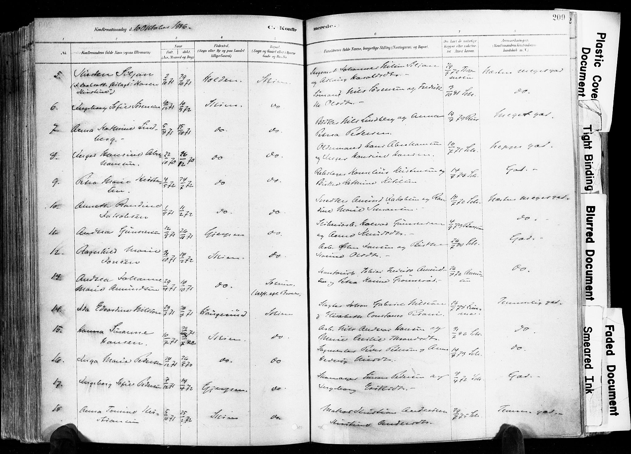 Skien kirkebøker, SAKO/A-302/F/Fa/L0009: Ministerialbok nr. 9, 1878-1890, s. 209