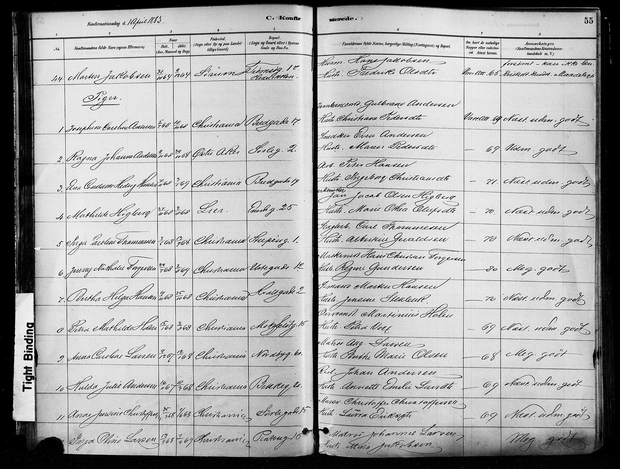 Grønland prestekontor Kirkebøker, SAO/A-10848/F/Fa/L0008: Ministerialbok nr. 8, 1881-1893, s. 55
