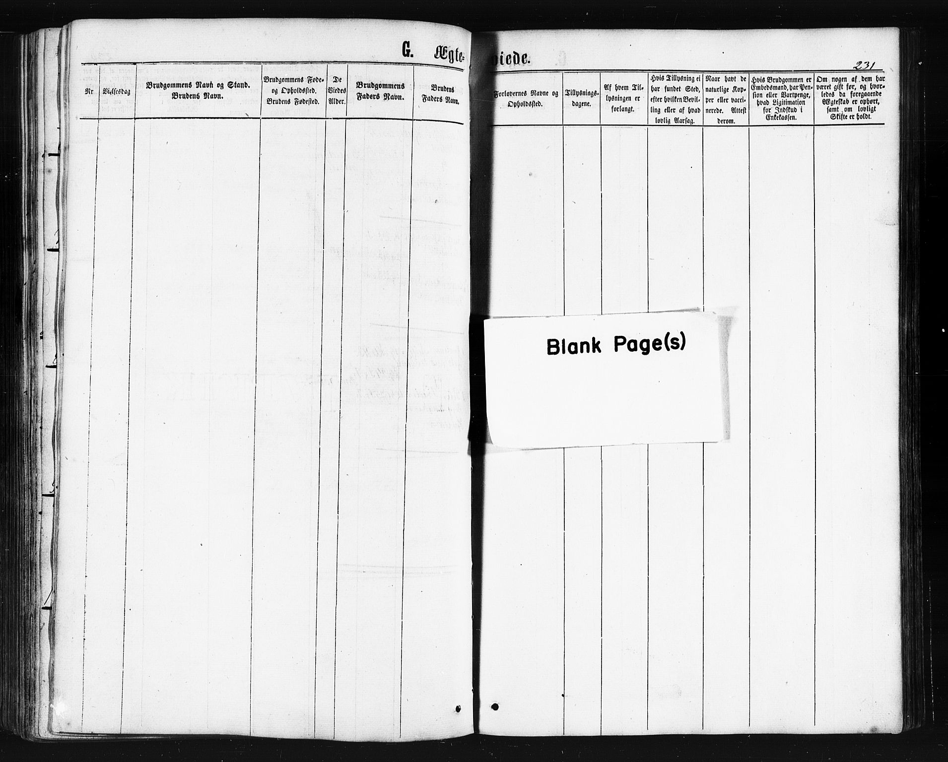 Ministerialprotokoller, klokkerbøker og fødselsregistre - Nordland, AV/SAT-A-1459/893/L1334: Ministerialbok nr. 893A07, 1867-1877, s. 231