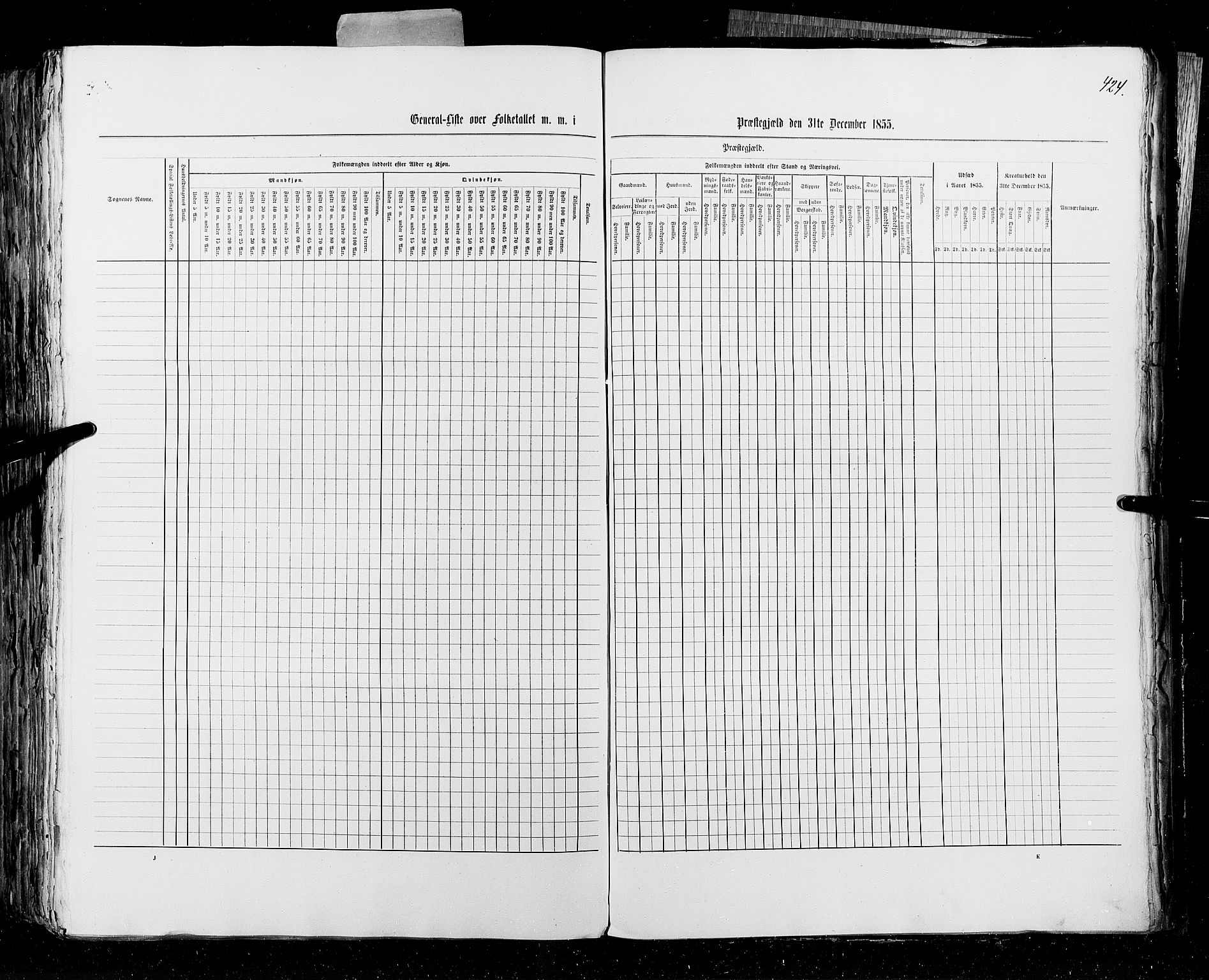 RA, Folketellingen 1855, bind 4: Stavanger amt og Søndre Bergenhus amt, 1855, s. 424