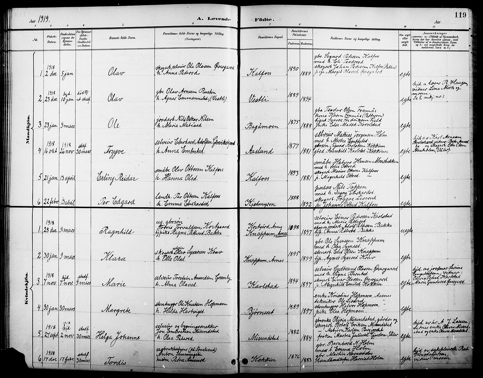 Åsnes prestekontor, AV/SAH-PREST-042/H/Ha/Hab/L0005: Klokkerbok nr. 5, 1895-1920, s. 119