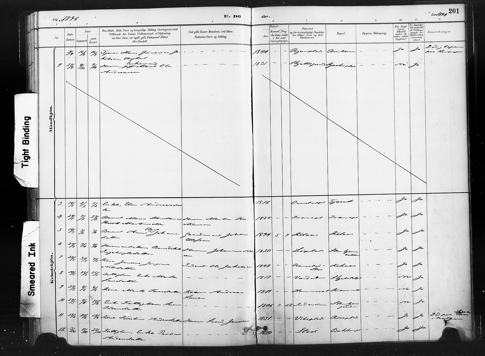 Ministerialprotokoller, klokkerbøker og fødselsregistre - Nord-Trøndelag, SAT/A-1458/736/L0361: Ministerialbok nr. 736A01, 1884-1906, s. 201