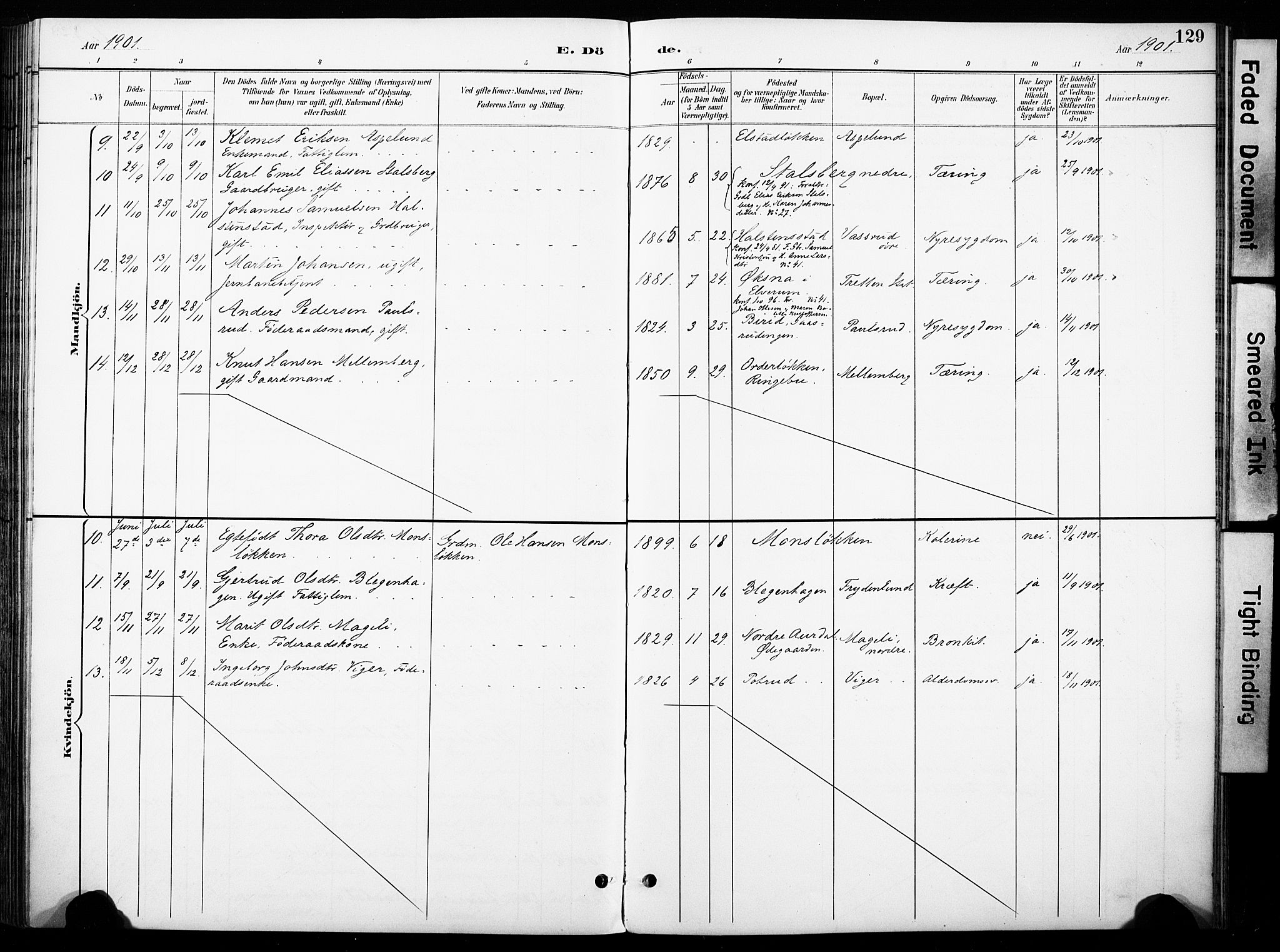 Øyer prestekontor, SAH/PREST-084/H/Ha/Haa/L0011: Ministerialbok nr. 11, 1894-1905, s. 129