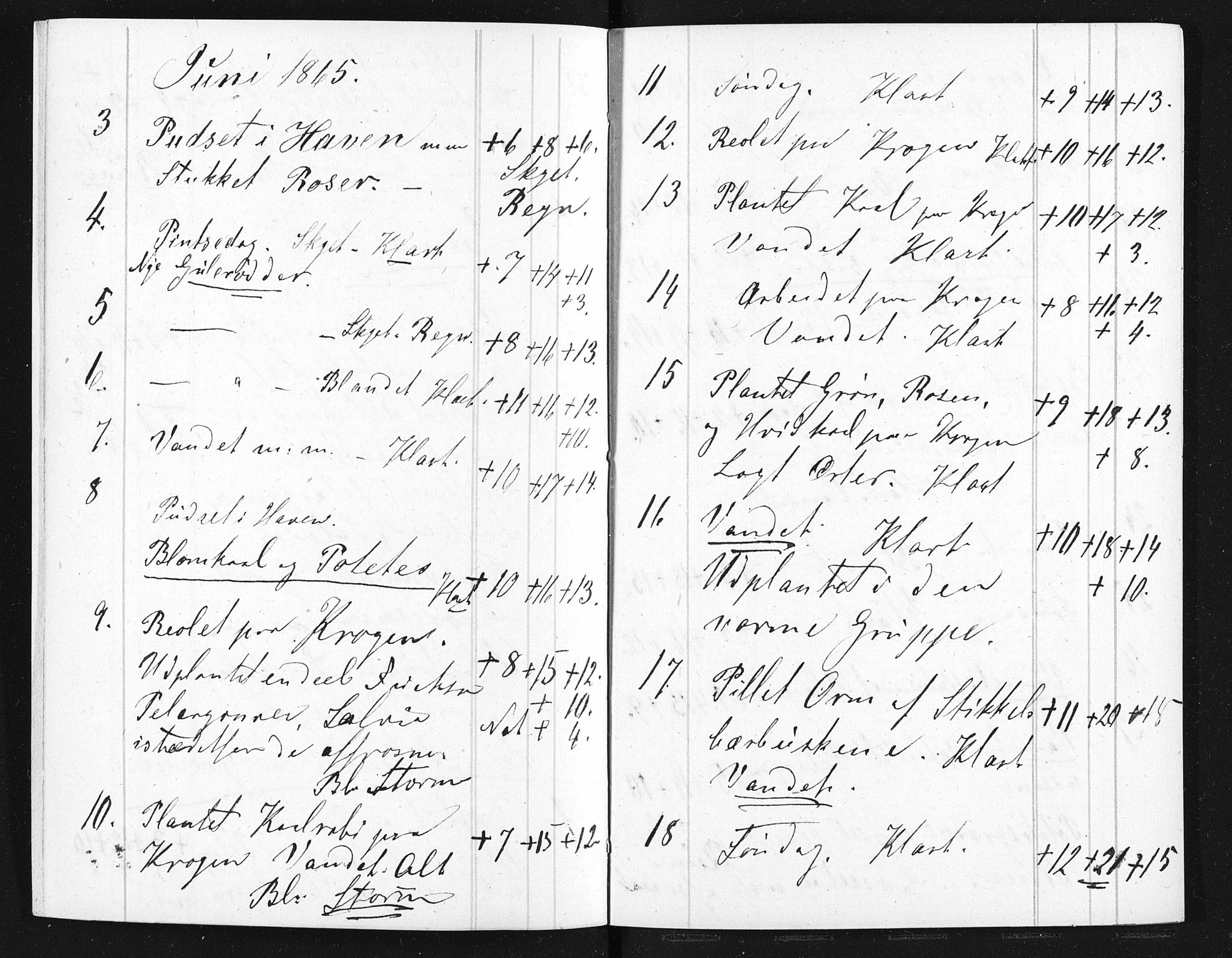 Familien Aalls privatarkiv , NESJ/NJM-005/E-00003/L0001/0003/0005: Dag- og notatbøker / Dølner dagbokpakke 001, 1865