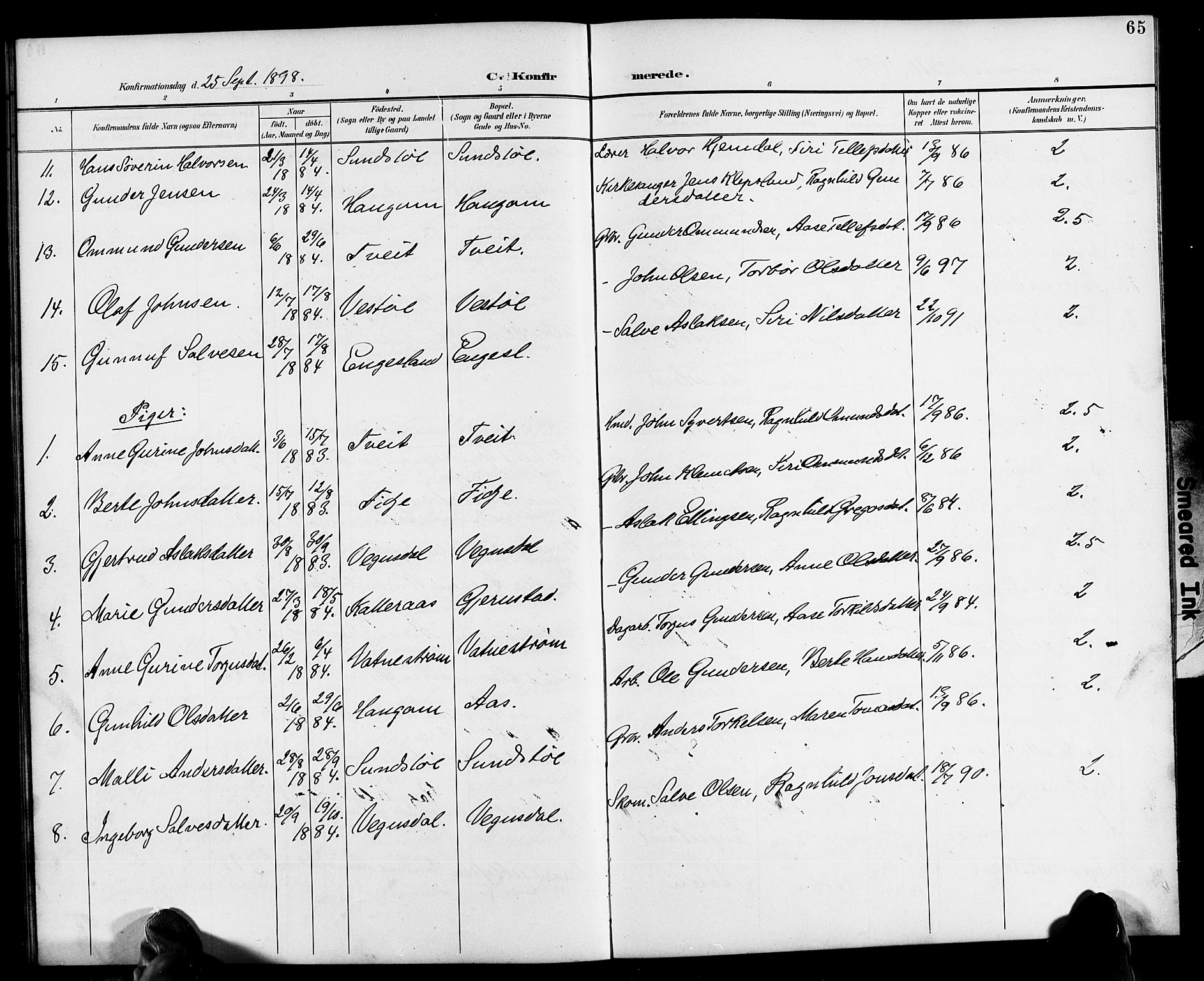 Herefoss sokneprestkontor, AV/SAK-1111-0019/F/Fb/Fbb/L0003: Klokkerbok nr. B 3, 1892-1917, s. 65
