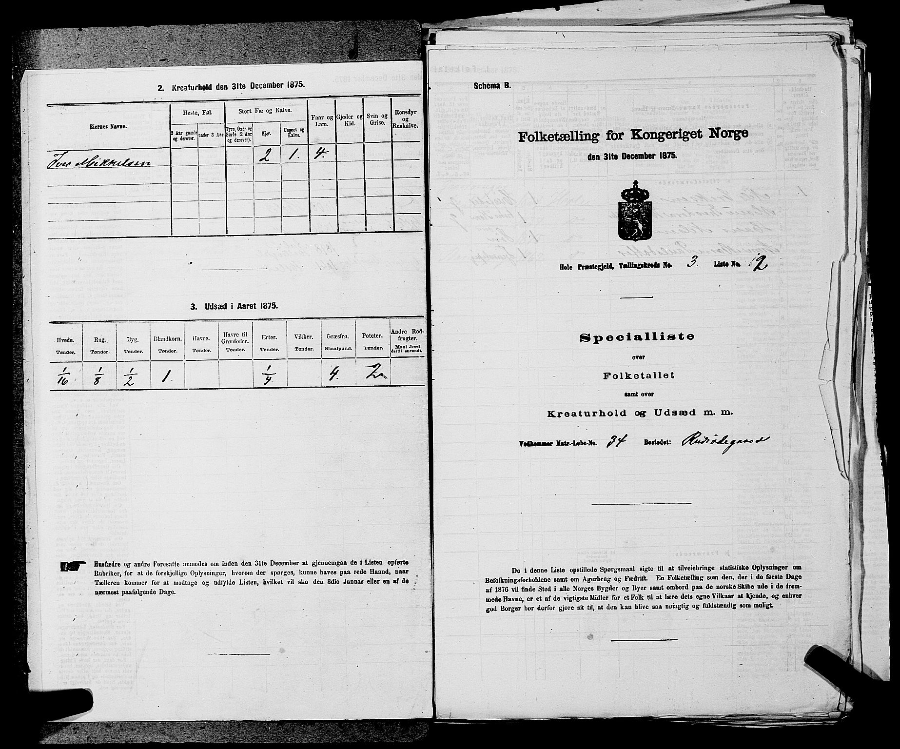 SAKO, Folketelling 1875 for 0612P Hole prestegjeld, 1875, s. 453