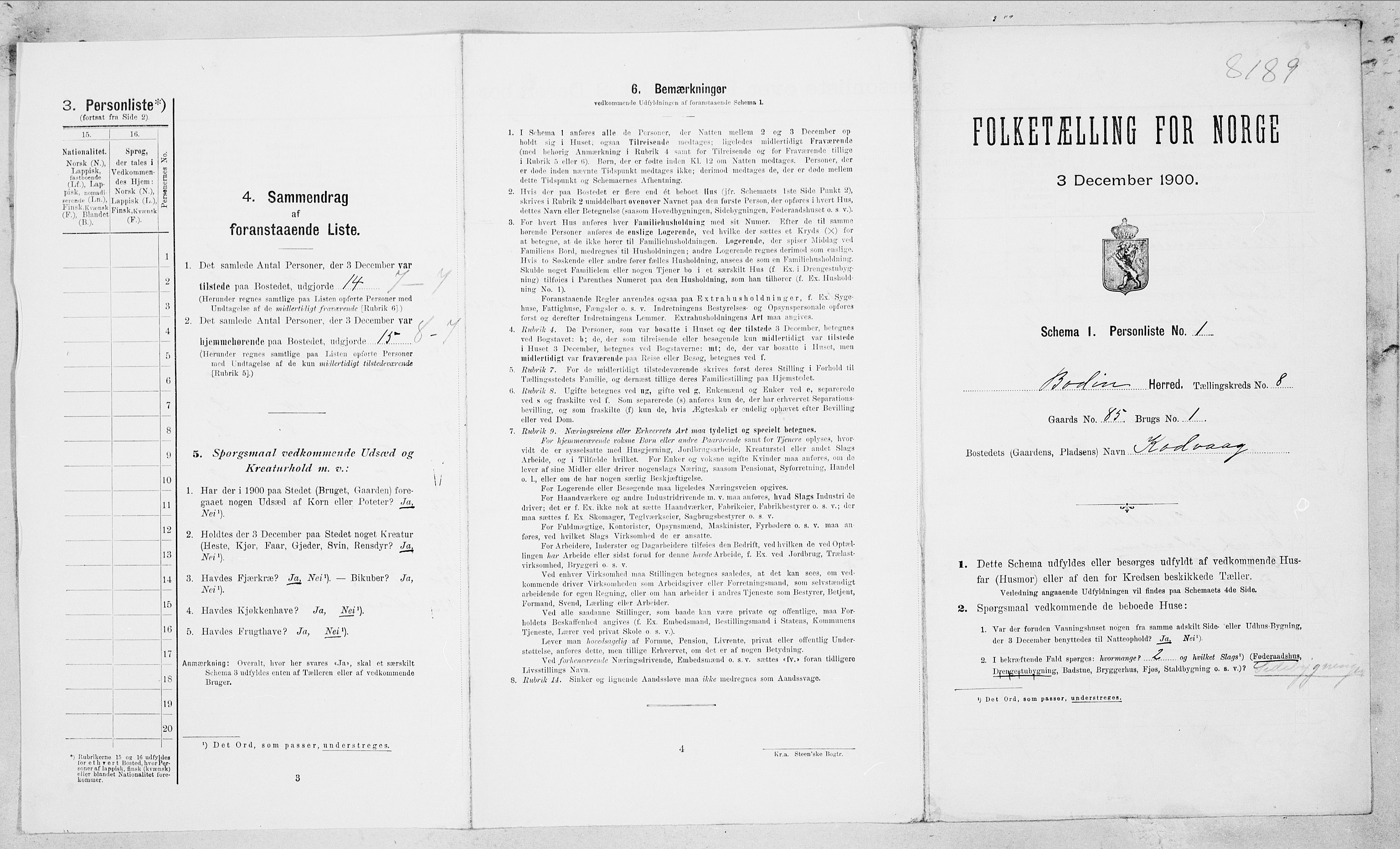 SAT, Folketelling 1900 for 1843 Bodin herred, 1900, s. 1210