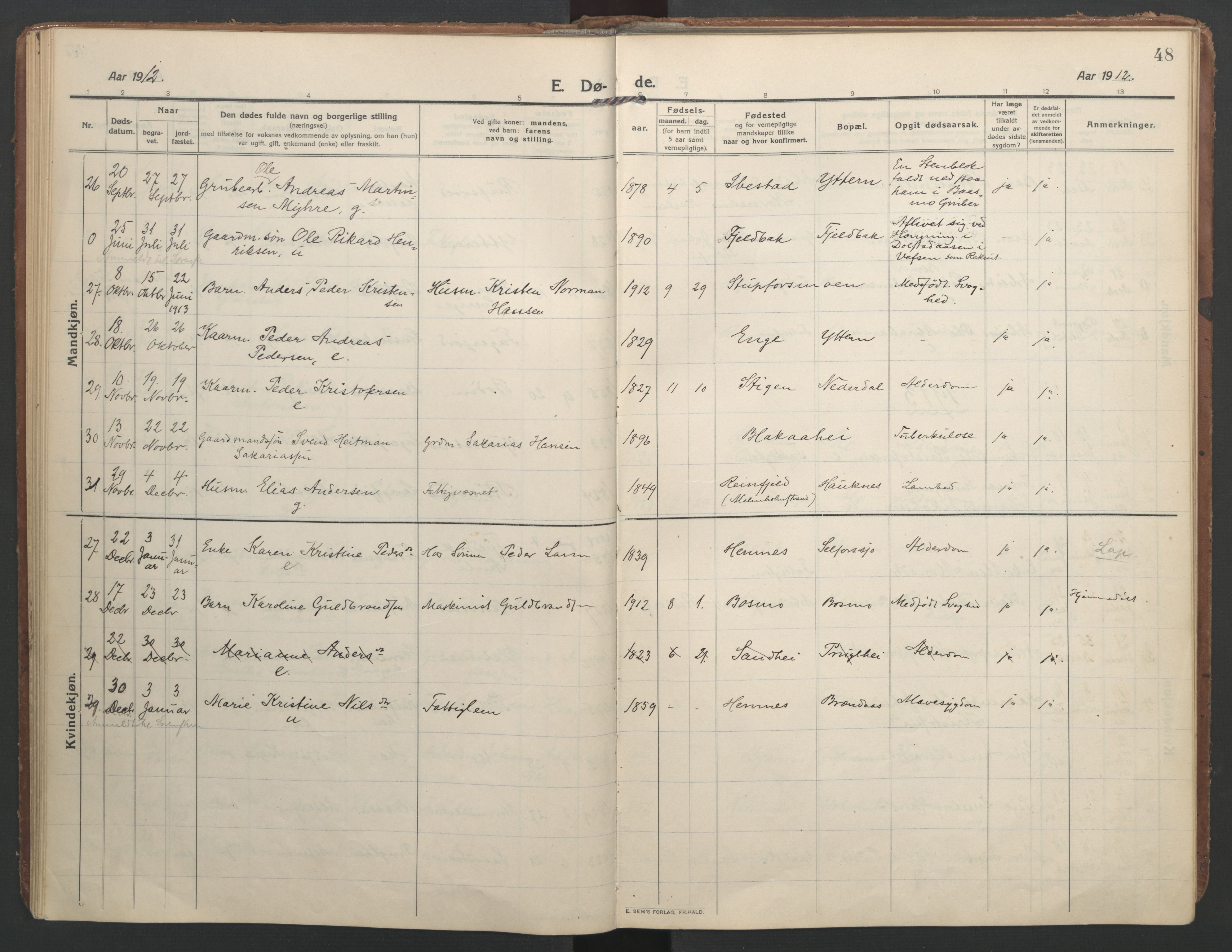 Ministerialprotokoller, klokkerbøker og fødselsregistre - Nordland, AV/SAT-A-1459/827/L0405: Ministerialbok nr. 827A17, 1912-1925, s. 48