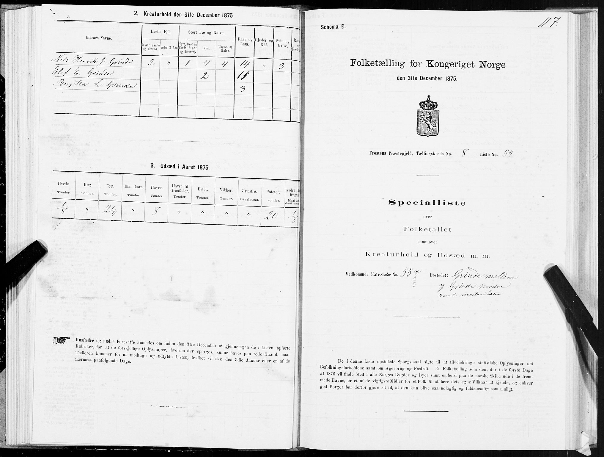 SAT, Folketelling 1875 for 1717P Frosta prestegjeld, 1875, s. 6117