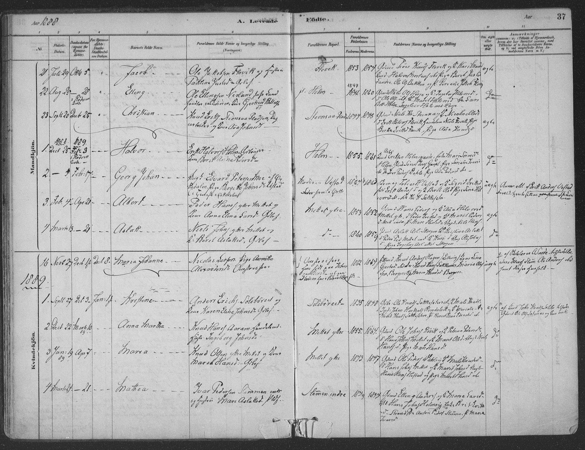 Ministerialprotokoller, klokkerbøker og fødselsregistre - Møre og Romsdal, SAT/A-1454/547/L0604: Ministerialbok nr. 547A06, 1878-1906, s. 37