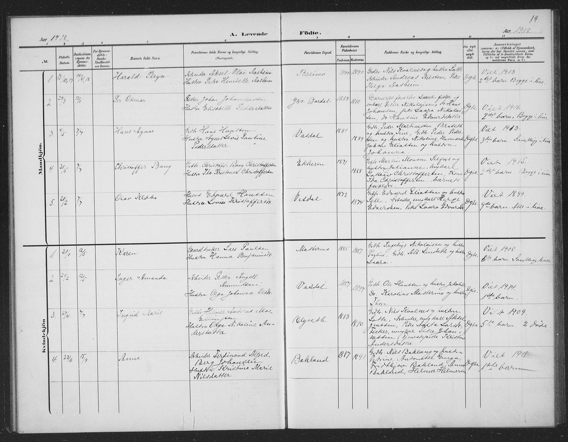 Ministerialprotokoller, klokkerbøker og fødselsregistre - Nordland, AV/SAT-A-1459/833/L0502: Klokkerbok nr. 833C01, 1906-1934, s. 19