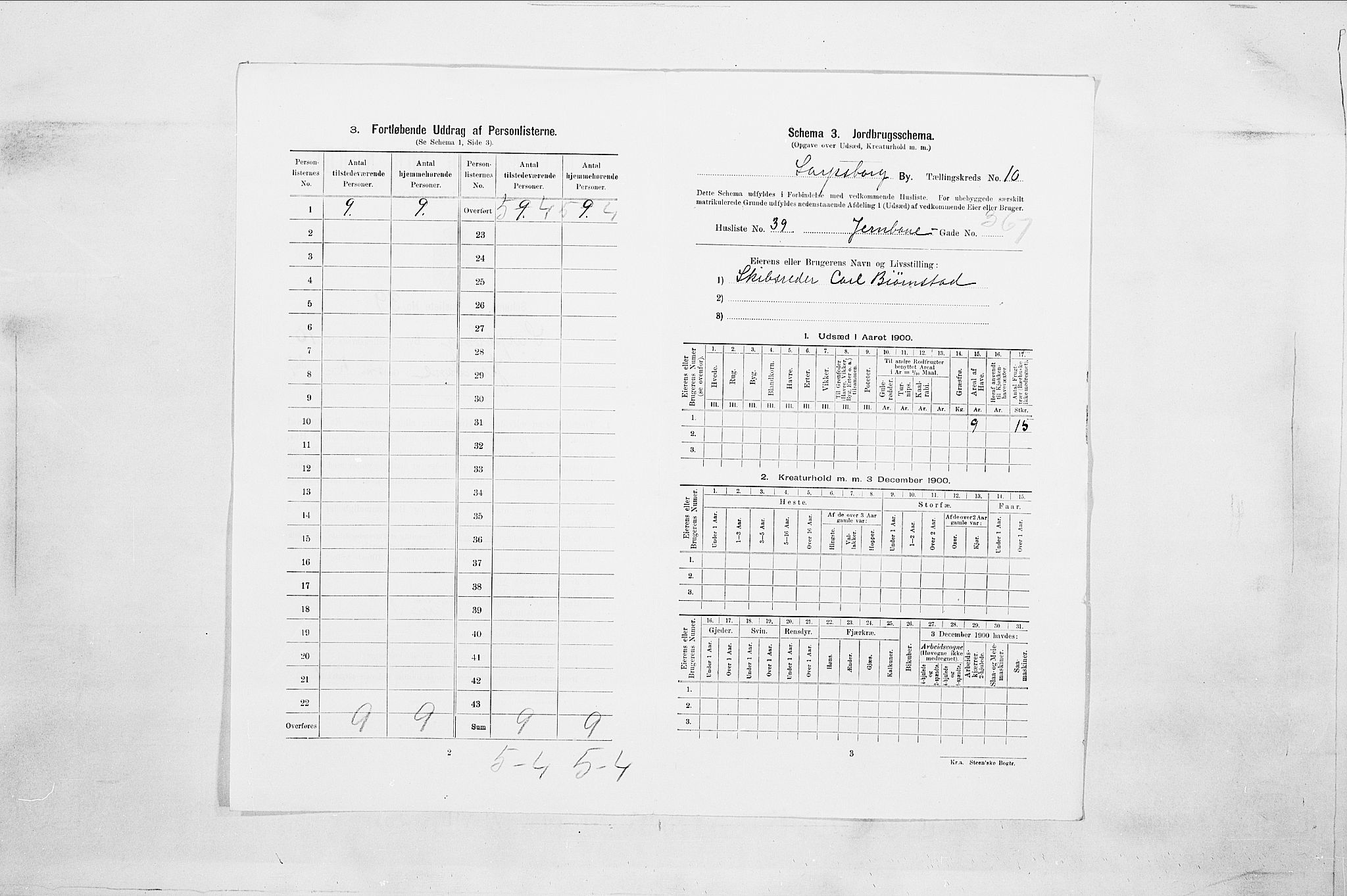 SAO, Folketelling 1900 for 0102 Sarpsborg kjøpstad, 1900