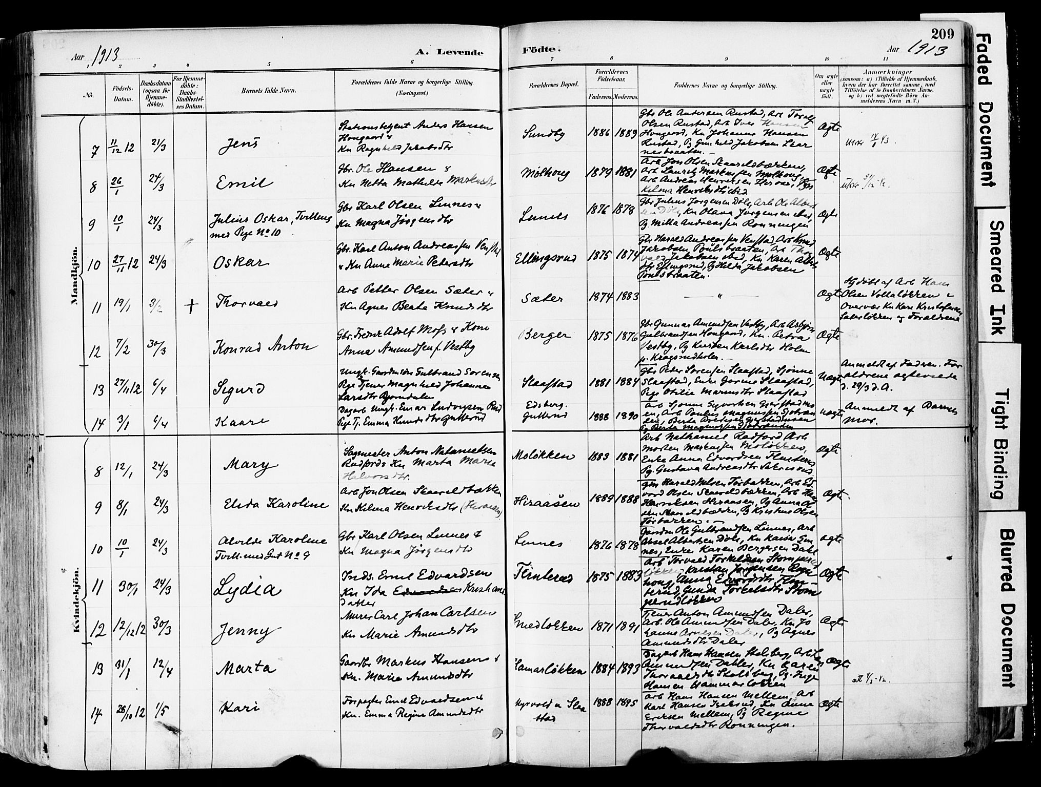 Sør-Odal prestekontor, SAH/PREST-030/H/Ha/Haa/L0006: Ministerialbok nr. 6, 1886-1931, s. 209